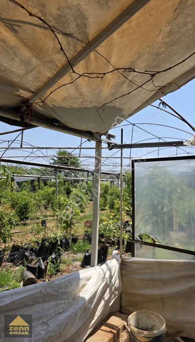 Mersin Erdemli De Satılık 514 M2 Satılık Tarla - Görsel 2