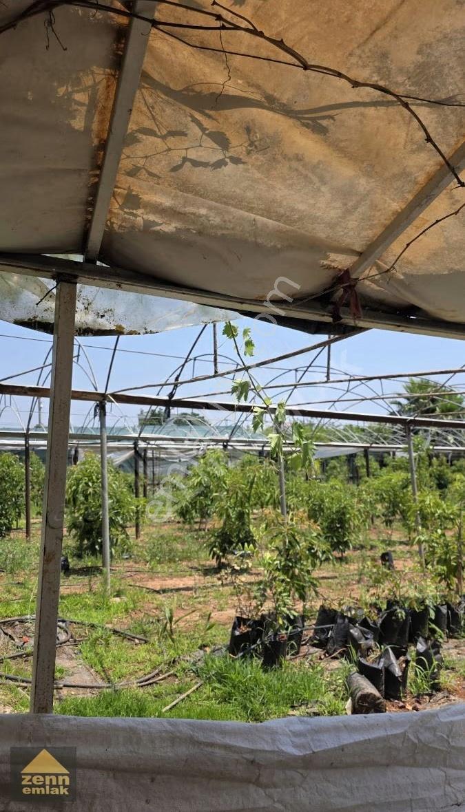 Mersin Erdemli De Satılık 514 M2 Satılık Tarla - Görsel 26