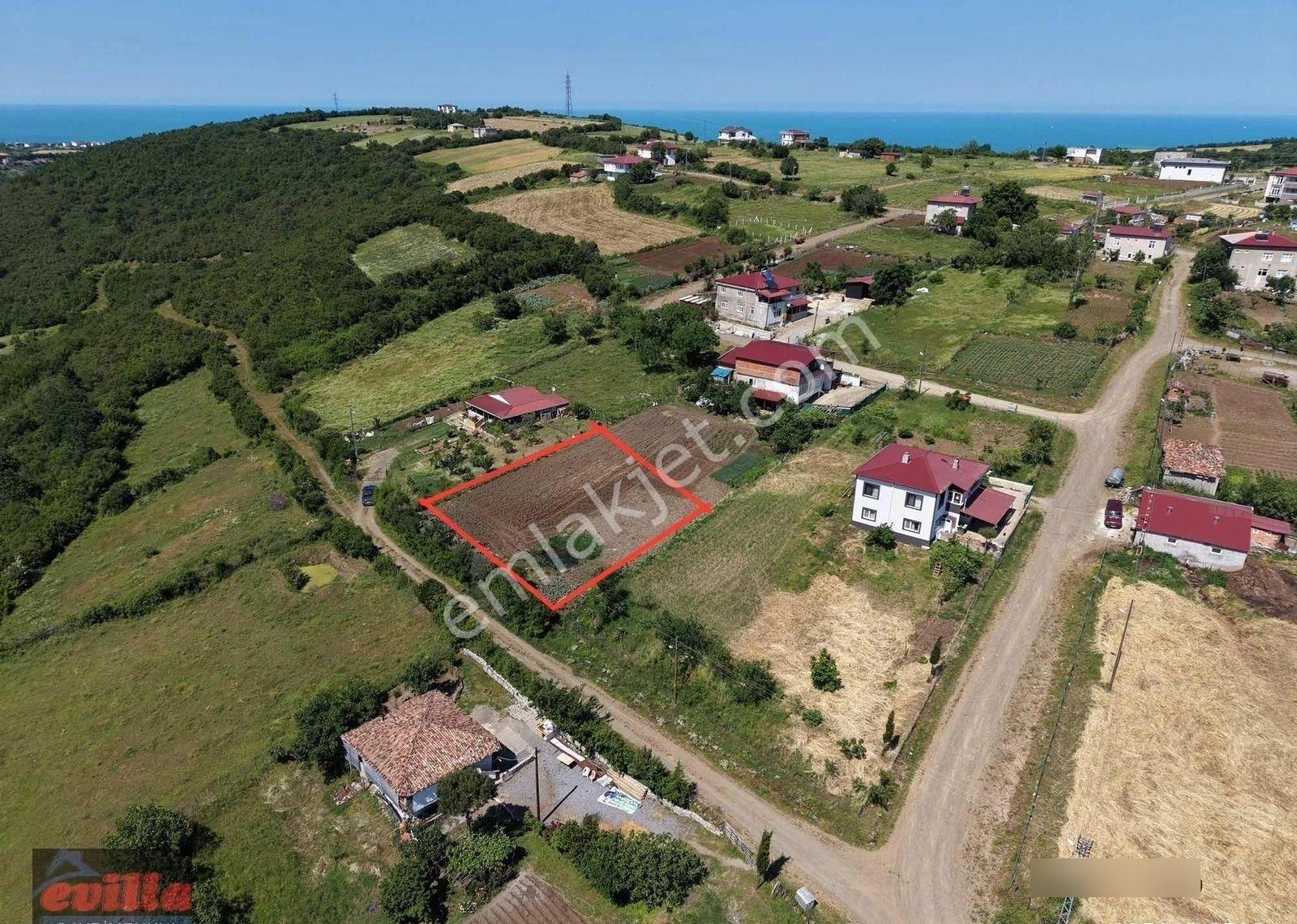 Çakırlar'da Satılık 1011 M2 Arsa - Görsel 3