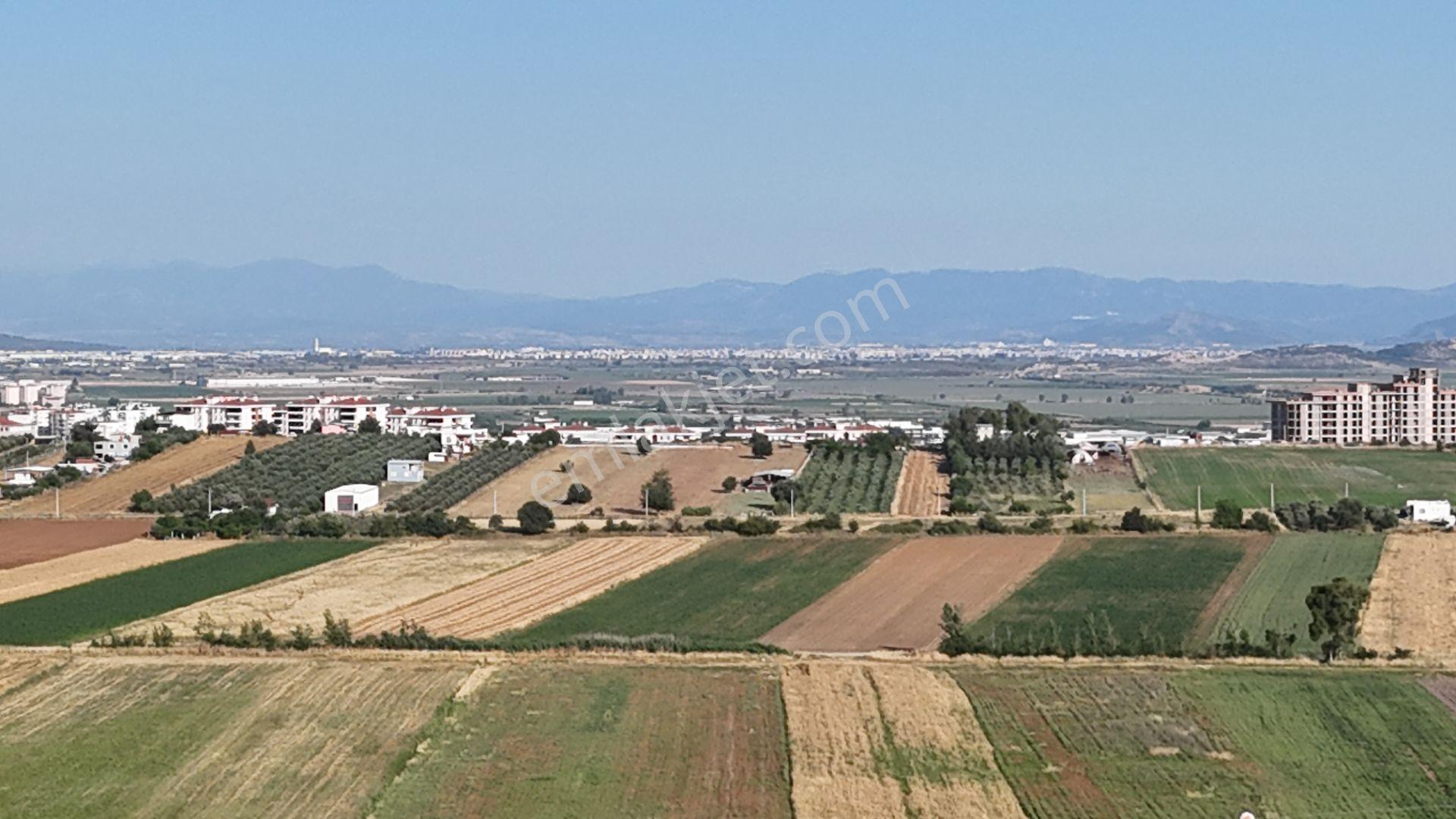 İzmir Menderes Oğlananası Ayrancılar 314 M2 Hisse Tapulu Elektrik Su - Görsel 21