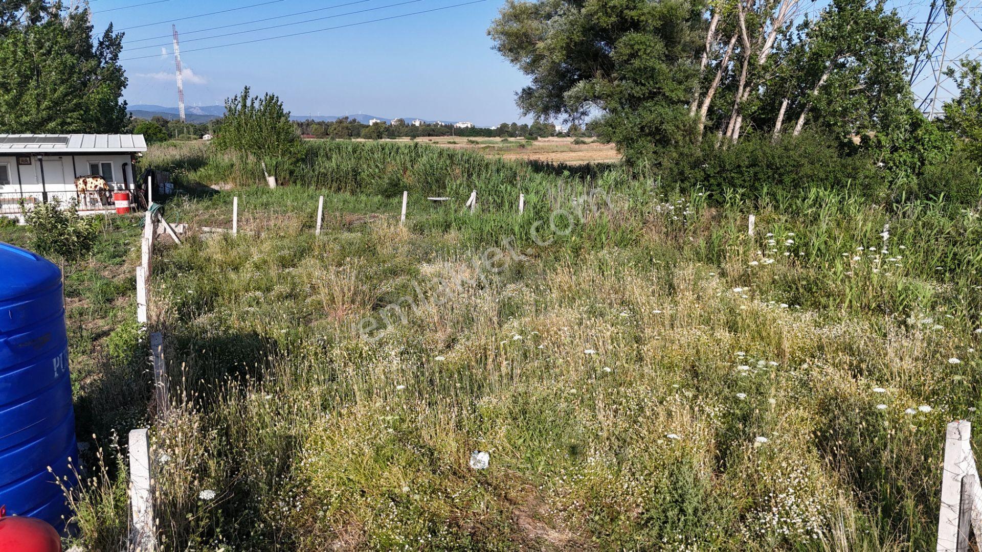 İzmir Menderes Oğlananası Ayrancılar 314 M2 Hisse Tapulu Elektrik Su - Görsel 25