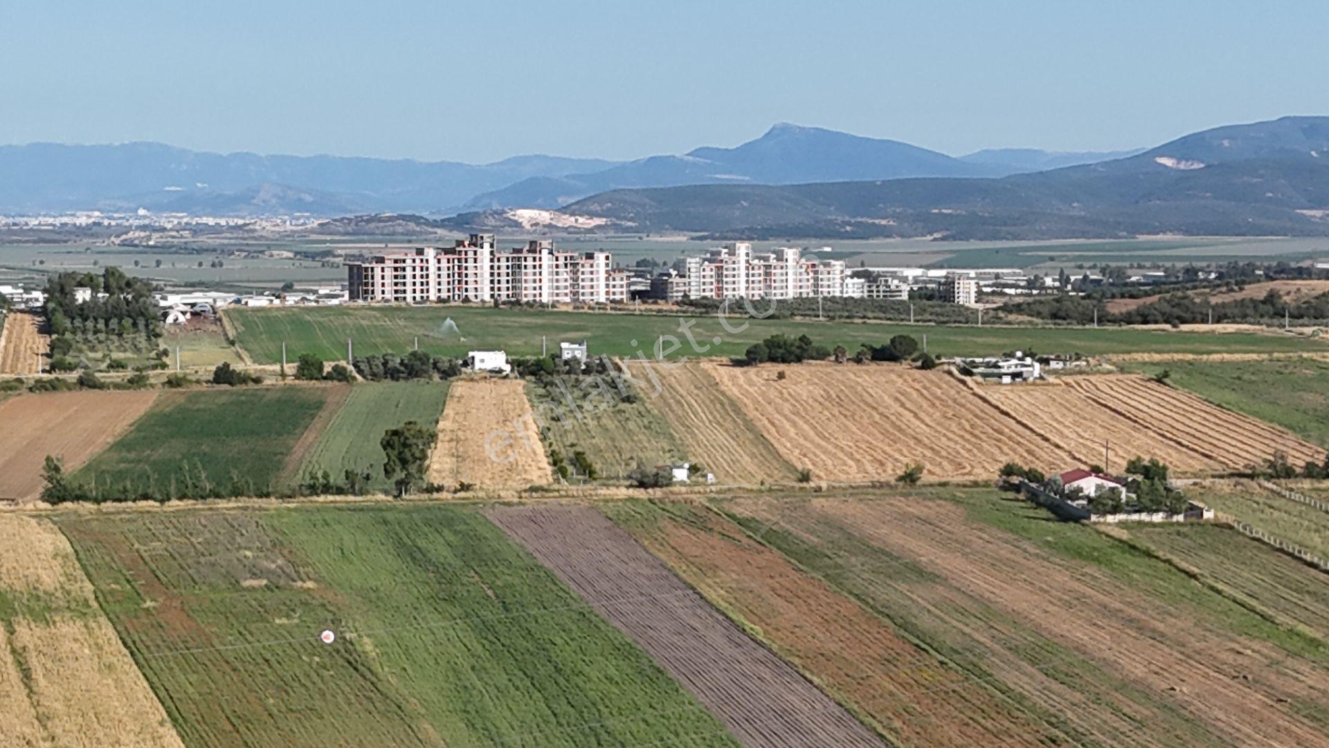 İzmir Menderes Oğlananası Ayrancılar 314 M2 Hisse Tapulu Elektrik Su - Görsel 18