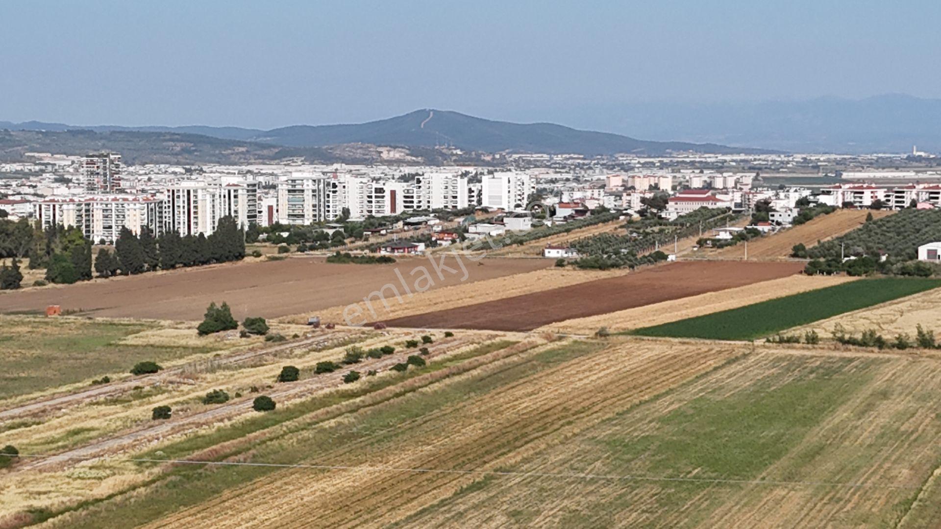 İzmir Menderes Oğlananası Ayrancılar 314 M2 Hisse Tapulu Elektrik Su - Görsel 2
