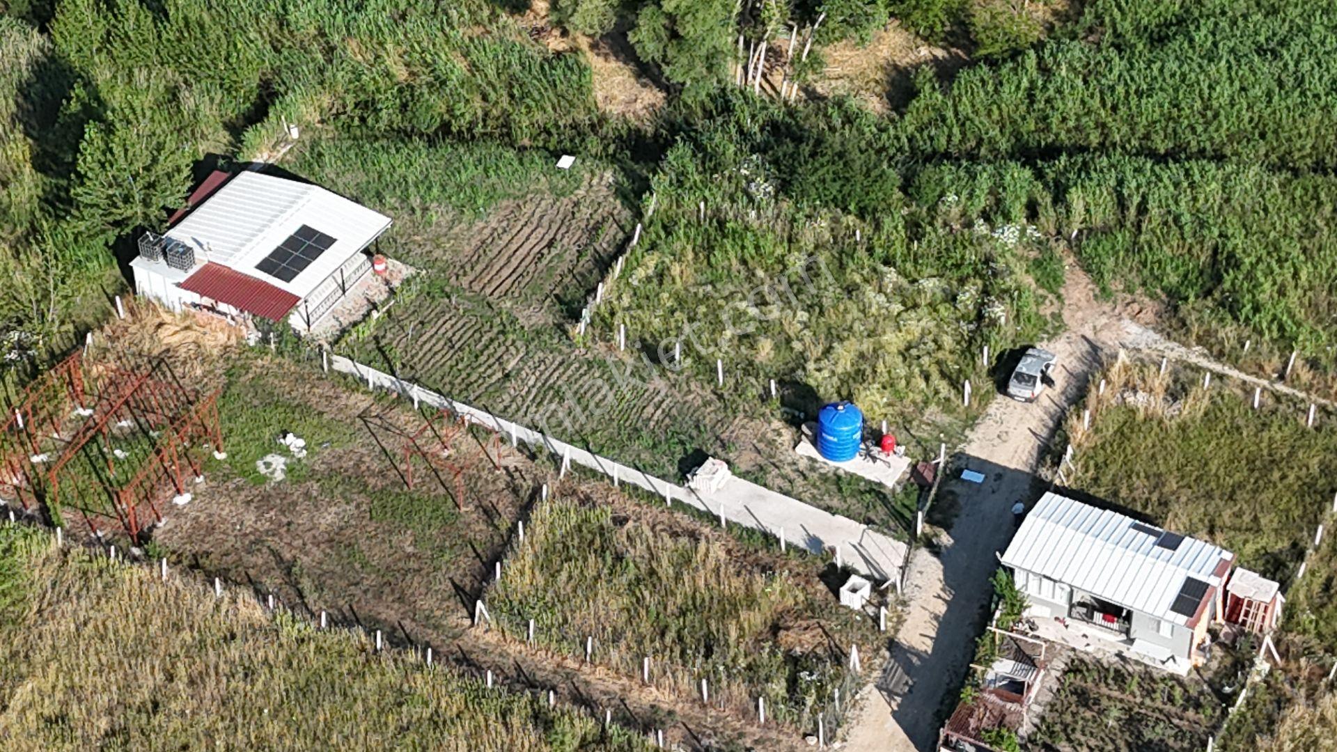 İzmir Menderes Oğlananası Ayrancılar 314 M2 Hisse Tapulu Elektrik Su - Görsel 22