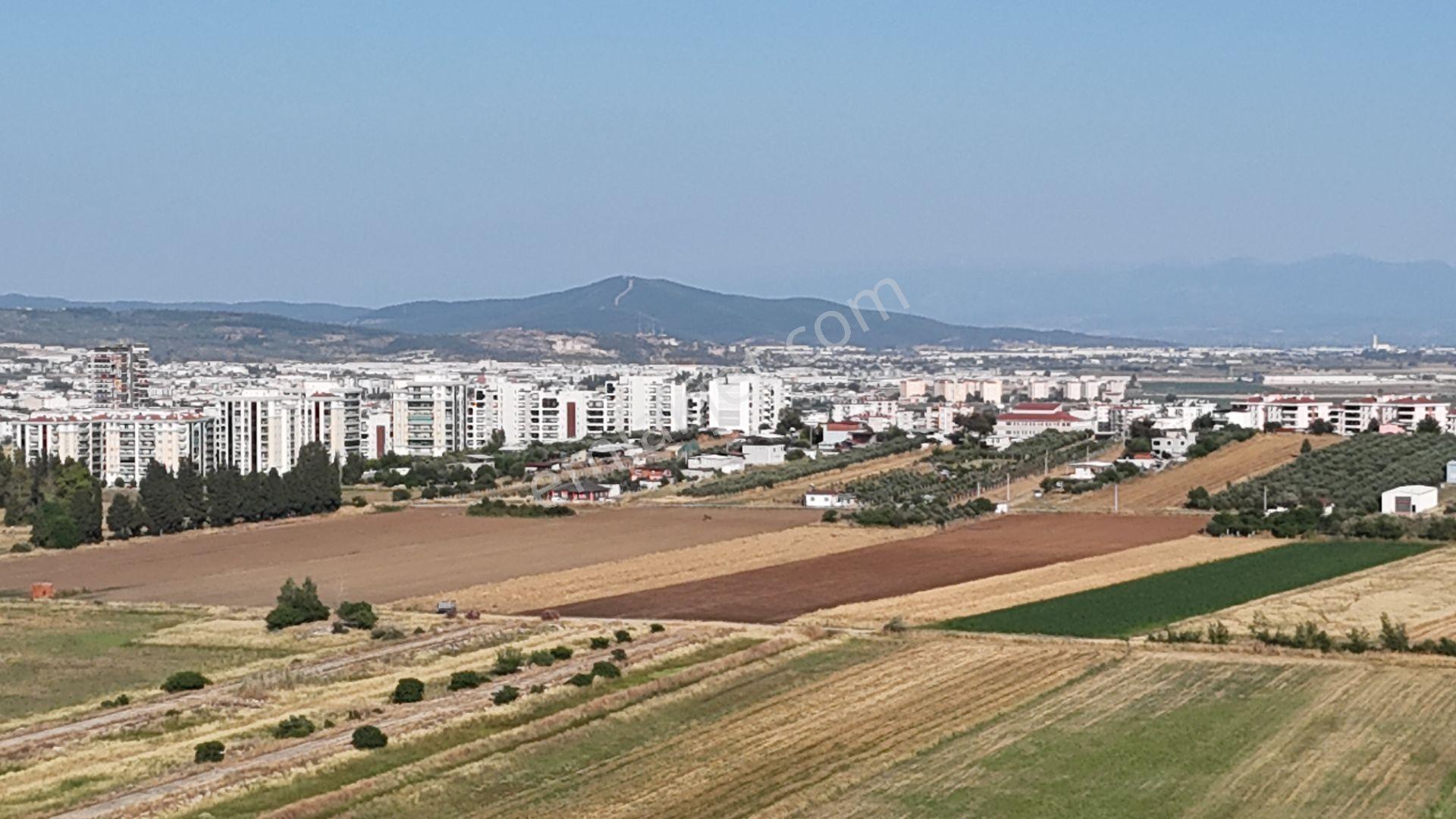İzmir Menderes Oğlananası Ayrancılar 314 M2 Hisse Tapulu Elektrik Su - Görsel 15
