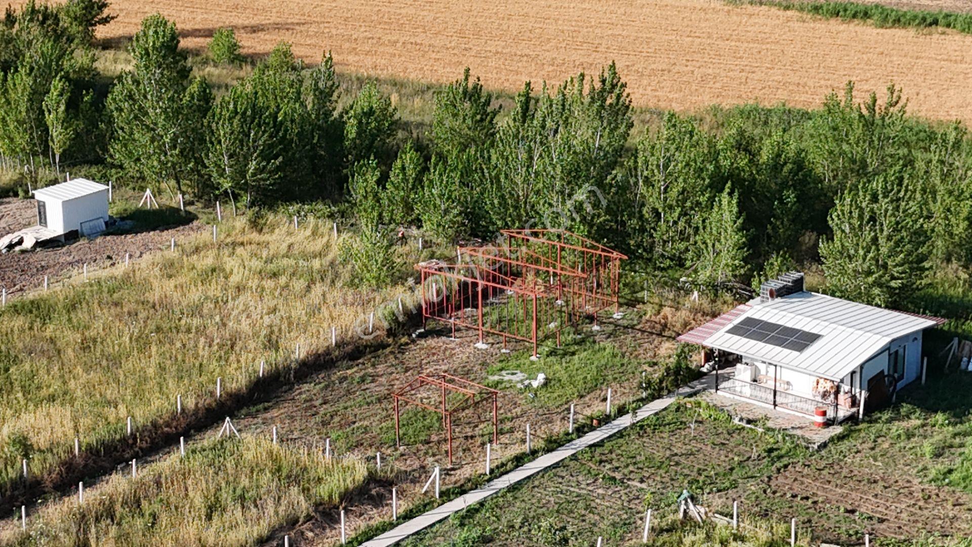 İzmir Menderes Oğlananası Ayrancılar 314 M2 Hisse Tapulu Elektrik Su - Görsel 24