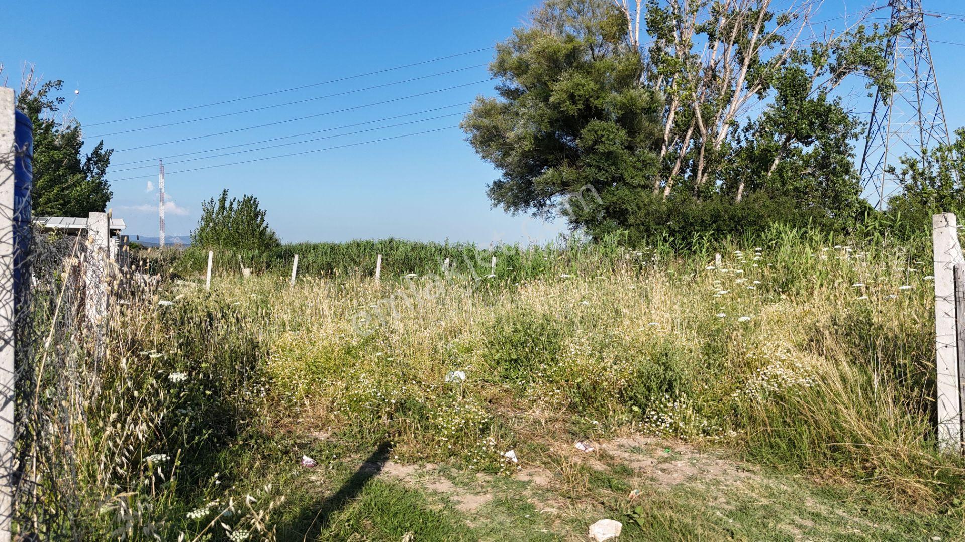 İzmir Menderes Oğlananası Ayrancılar 314 M2 Hisse Tapulu Elektrik Su - Görsel 11