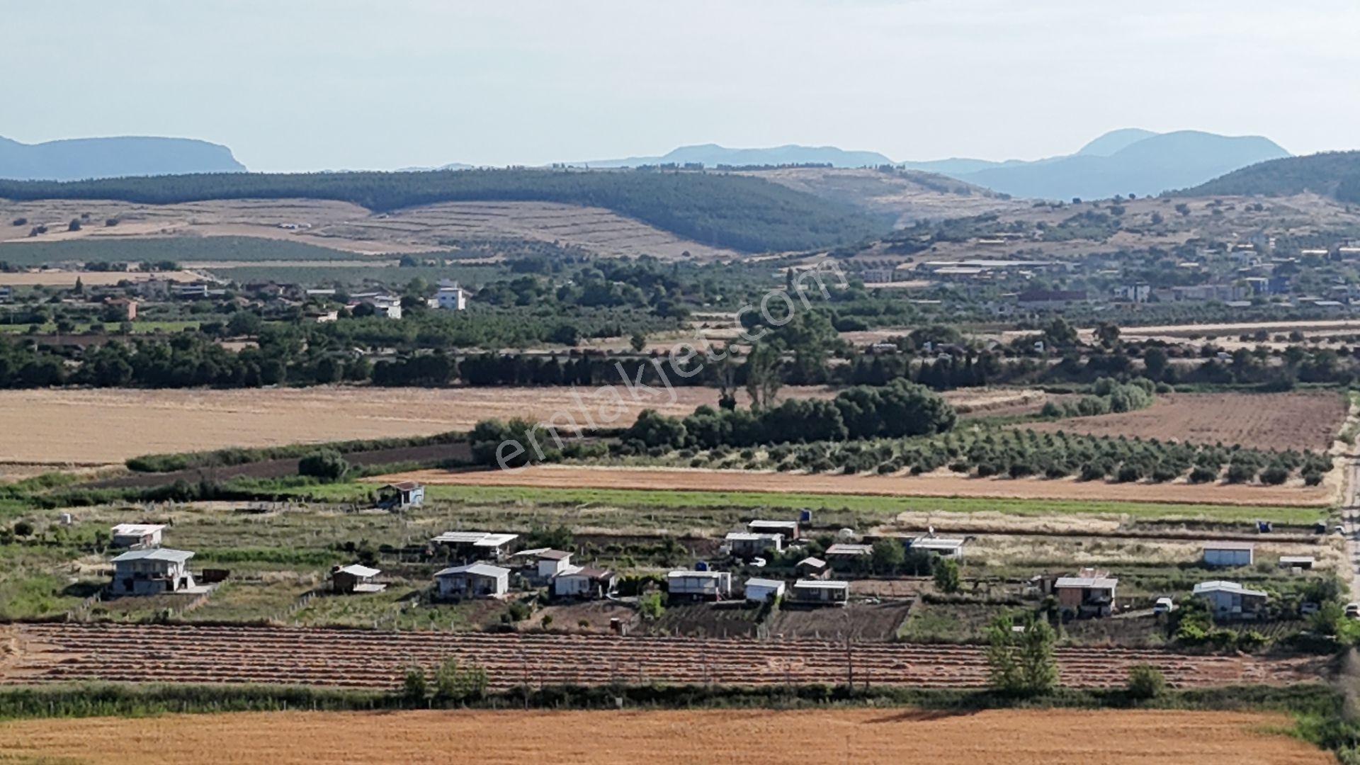 İzmir Menderes Oğlananası Ayrancılar 314 M2 Hisse Tapulu Elektrik Su - Görsel 27