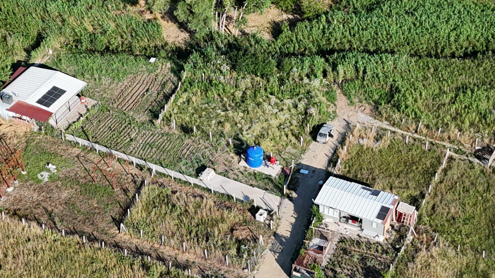İzmir Menderes Oğlananası Ayrancılar 314 M2 Hisse Tapulu Elektrik Su - Görsel 16