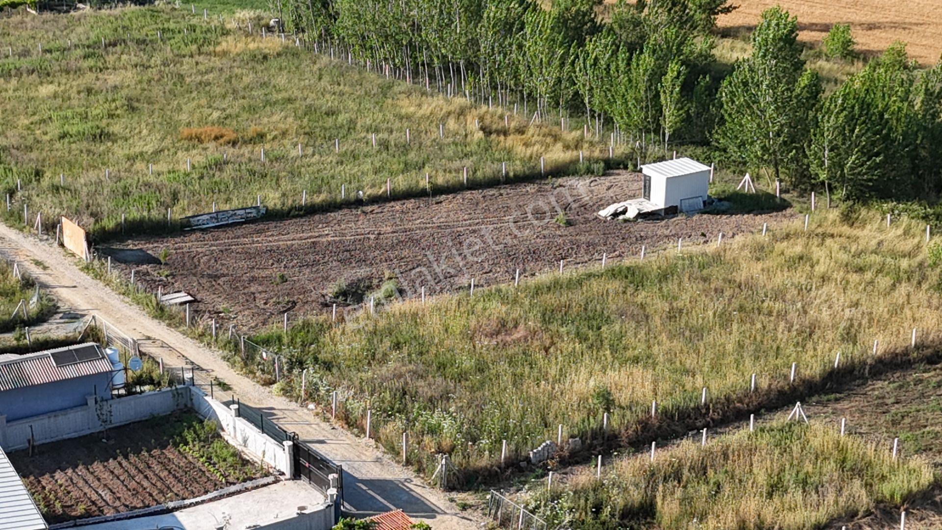 İzmir Menderes Oğlananası Ayrancılar 314 M2 Hisse Tapulu Elektrik Su - Görsel 31