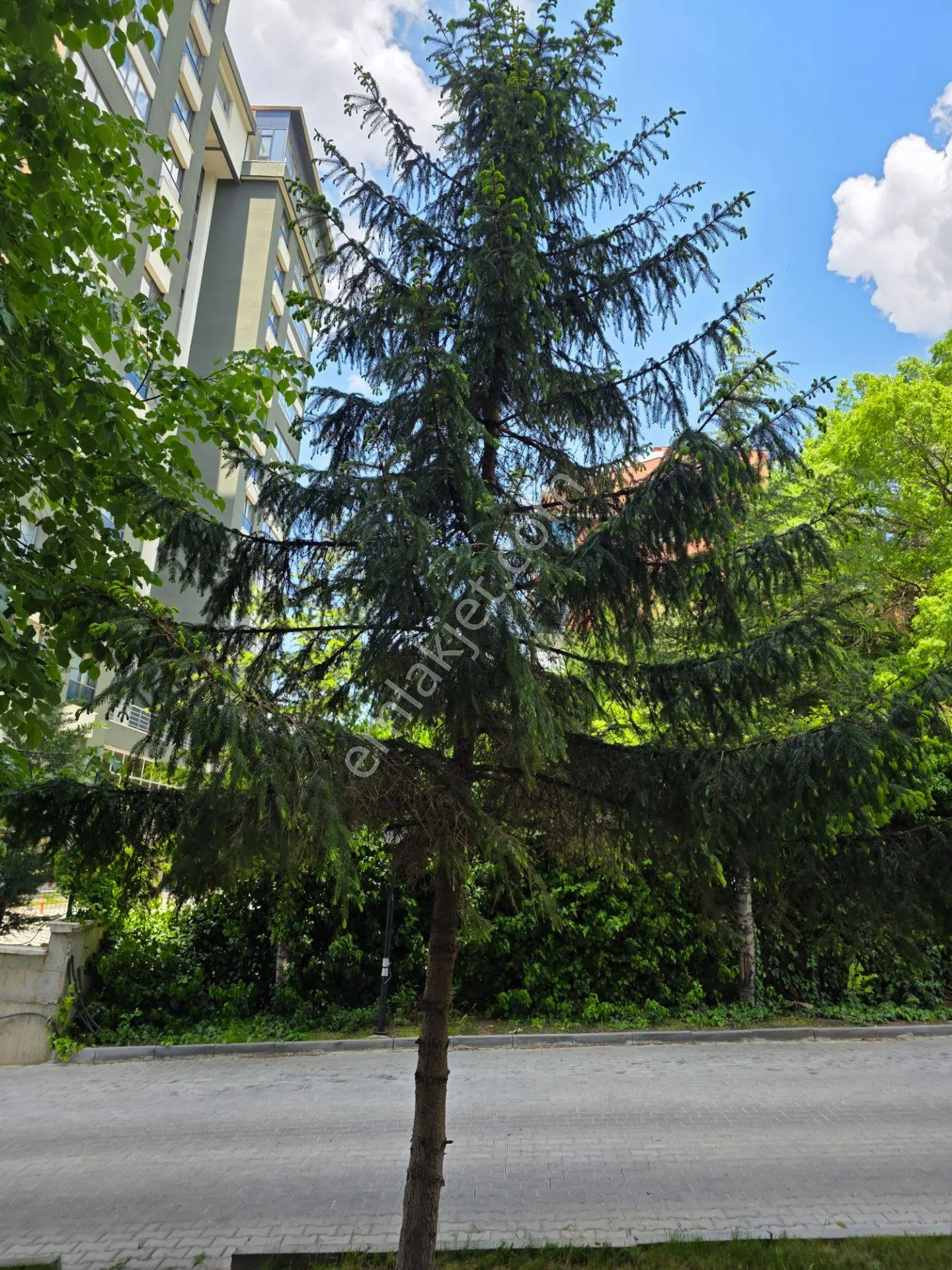 Çankaya Metiş Doruk Bloklarında; Güvenlikli+kapalı Otoparklı 4+1 - Görsel 5