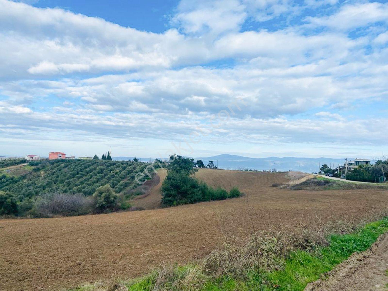 Mudanya Çağrışanda Deniz Manzaralı Satılık Villa İmarlı Arsa - Görsel 27