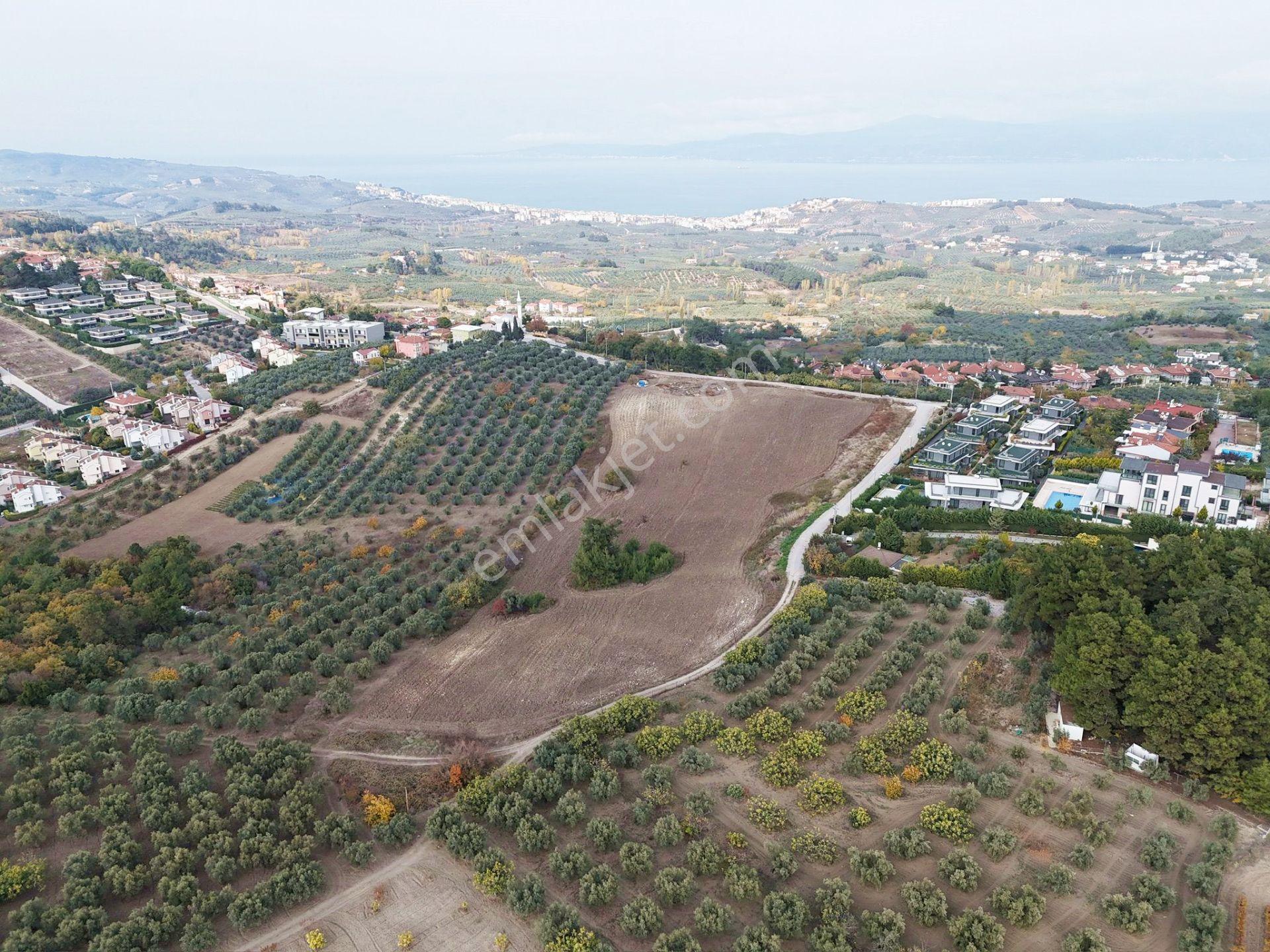 Mudanya Çağrışanda Deniz Manzaralı Satılık Villa İmarlı Arsa - Görsel 14