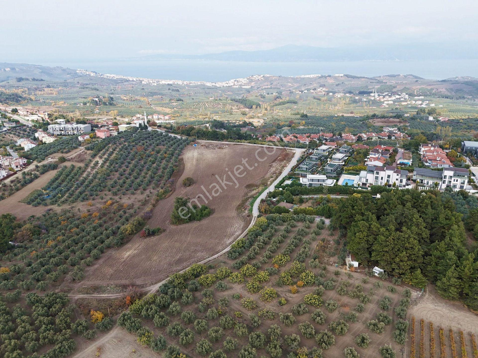 Mudanya Çağrışanda Deniz Manzaralı Satılık Villa İmarlı Arsa - Görsel 16