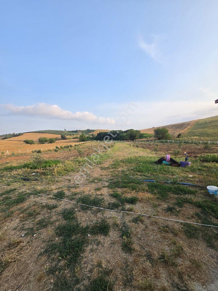 Vesile'den Kurulu Düzen 9700 M² Etrafı Çevrili Yaşam Alanı - Görsel 14