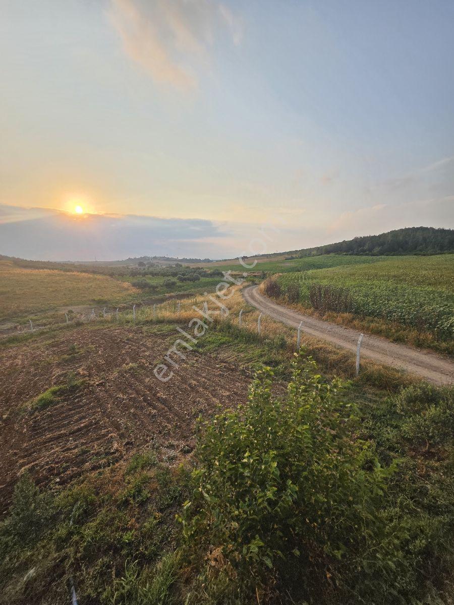 Vesile'den Kurulu Düzen 9700 M² Etrafı Çevrili Yaşam Alanı - Görsel 7