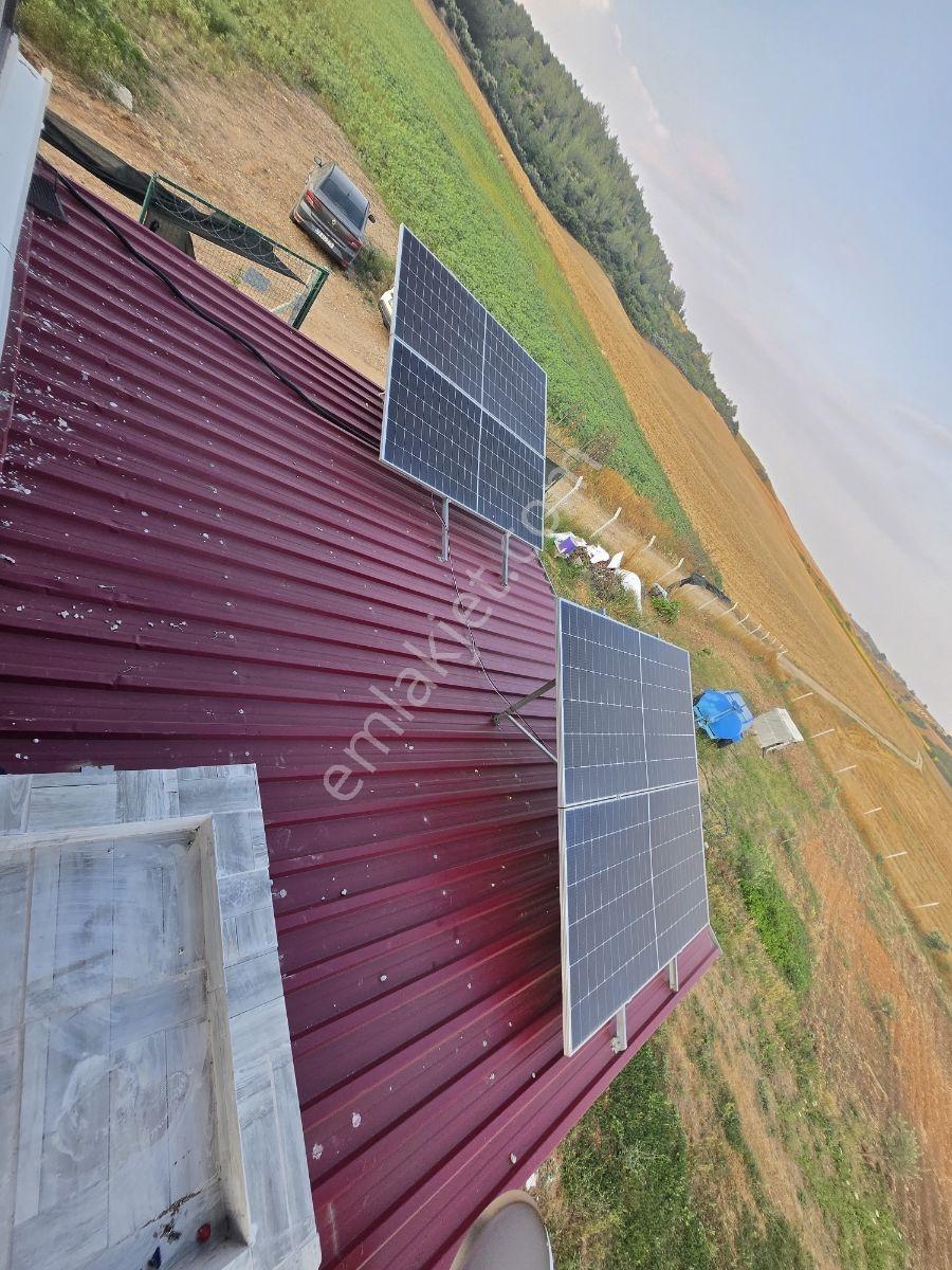 Vesile'den Kurulu Düzen 9700 M² Etrafı Çevrili Yaşam Alanı - Görsel 6