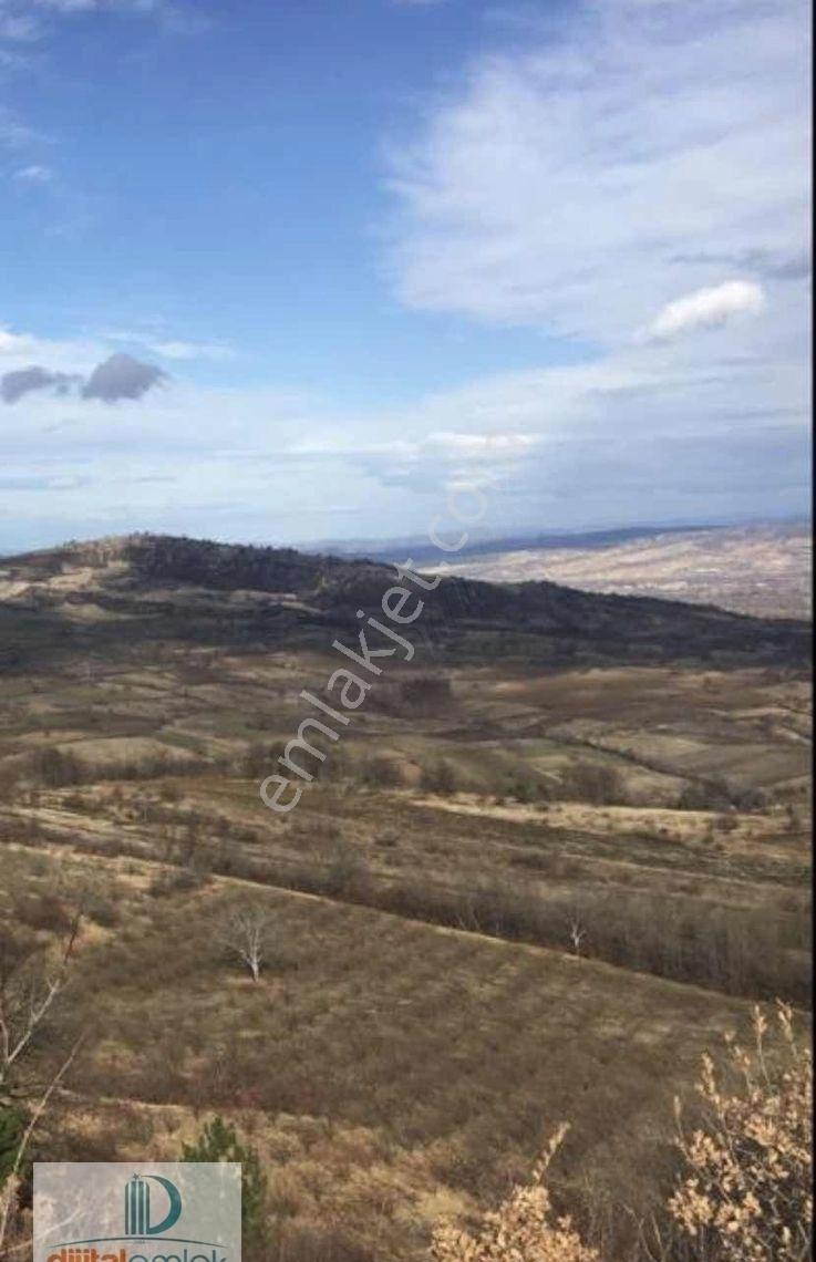 İnegöl Haytiyede Satılık 25 Dönüm Yatırımlık Kıymetli Arazi. - Görsel 4