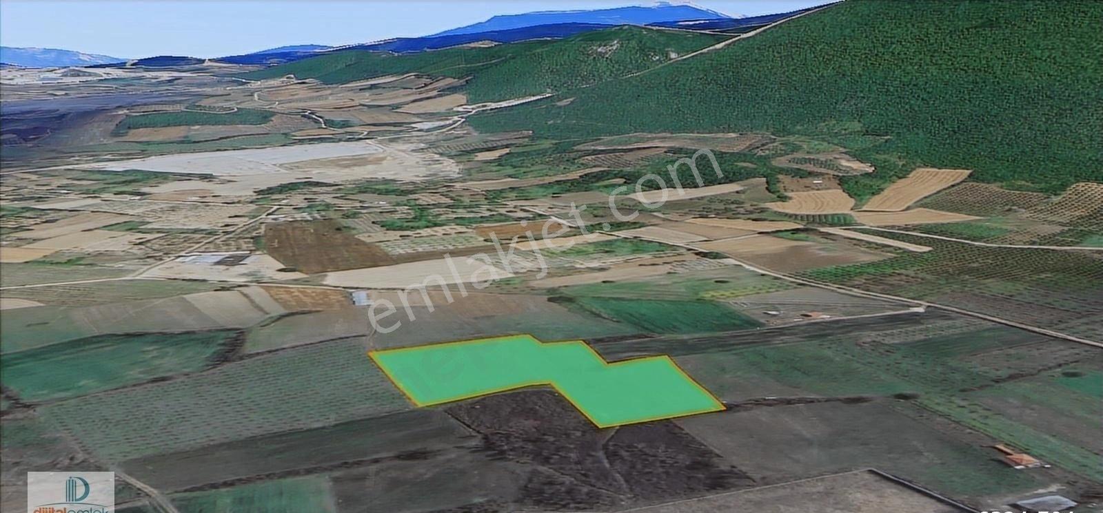 Nilüfer Akçalarda 12.100 M2 Satılık Yatırımlık Kıymetli Arazi.