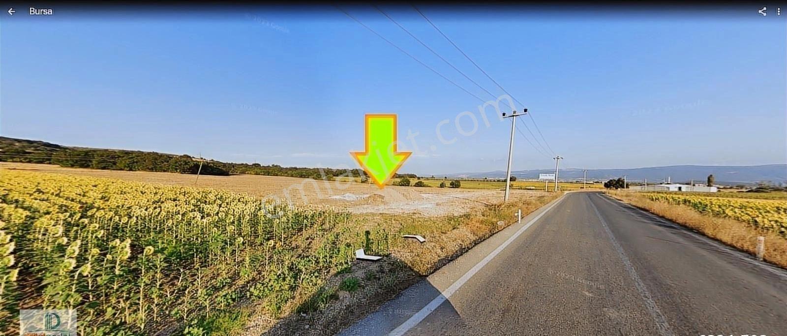 Nilüfer Çatalağıl'da Asfalta Cephe 41 Dönüm Satılık Arazi. - Görsel 20