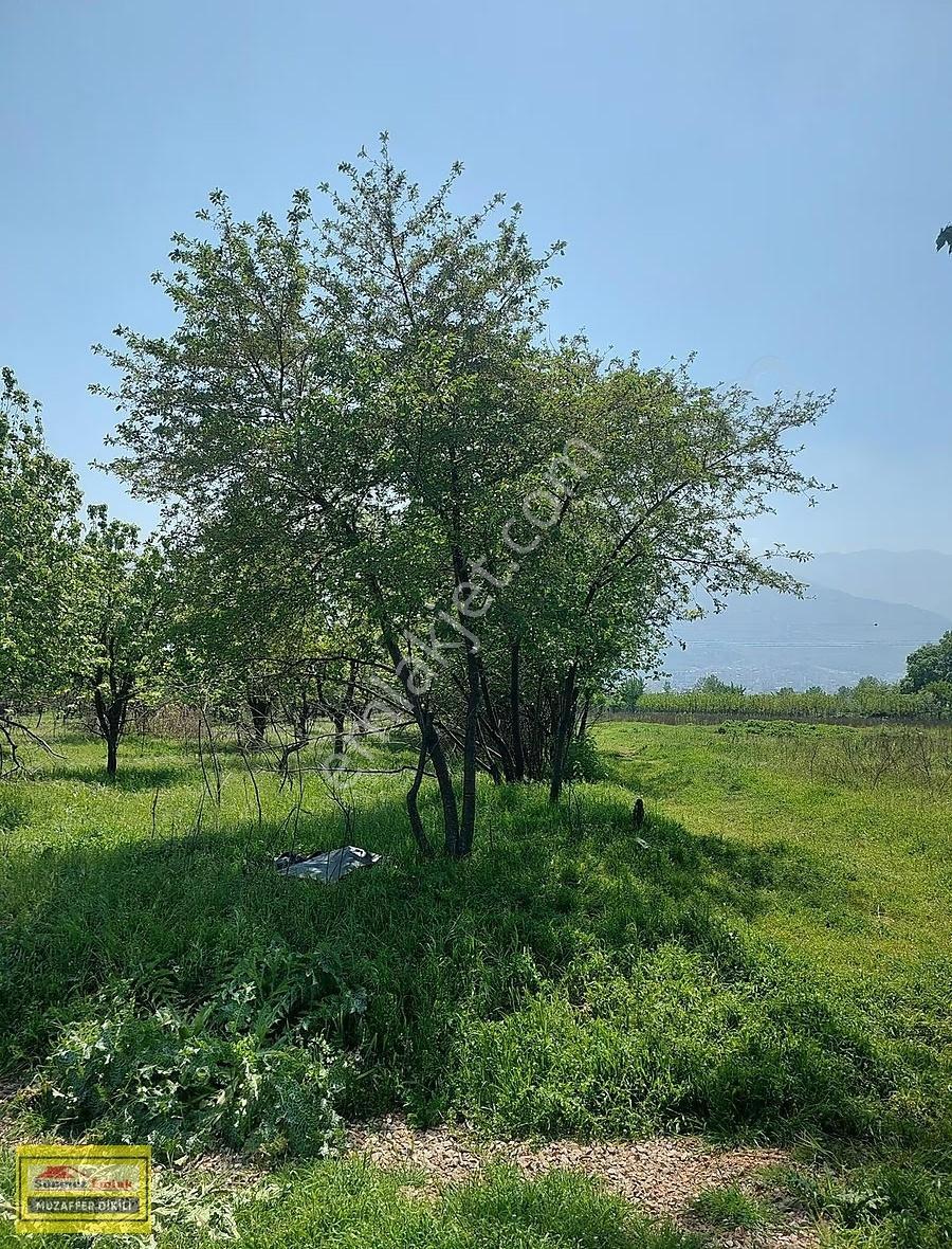 Bursa Yıldırım Vakıf'ta Satılık 4360m² İki Bitişik Parsel Bahçe - Görsel 15