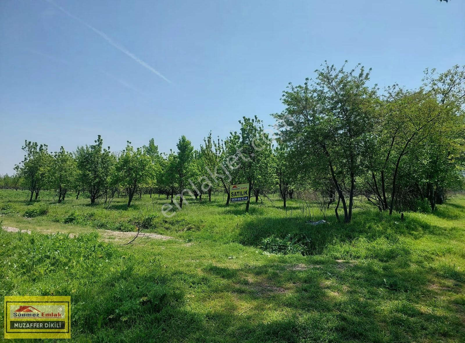 Bursa Yıldırım Vakıf'ta Satılık 4360m² İki Bitişik Parsel Bahçe - Görsel 7