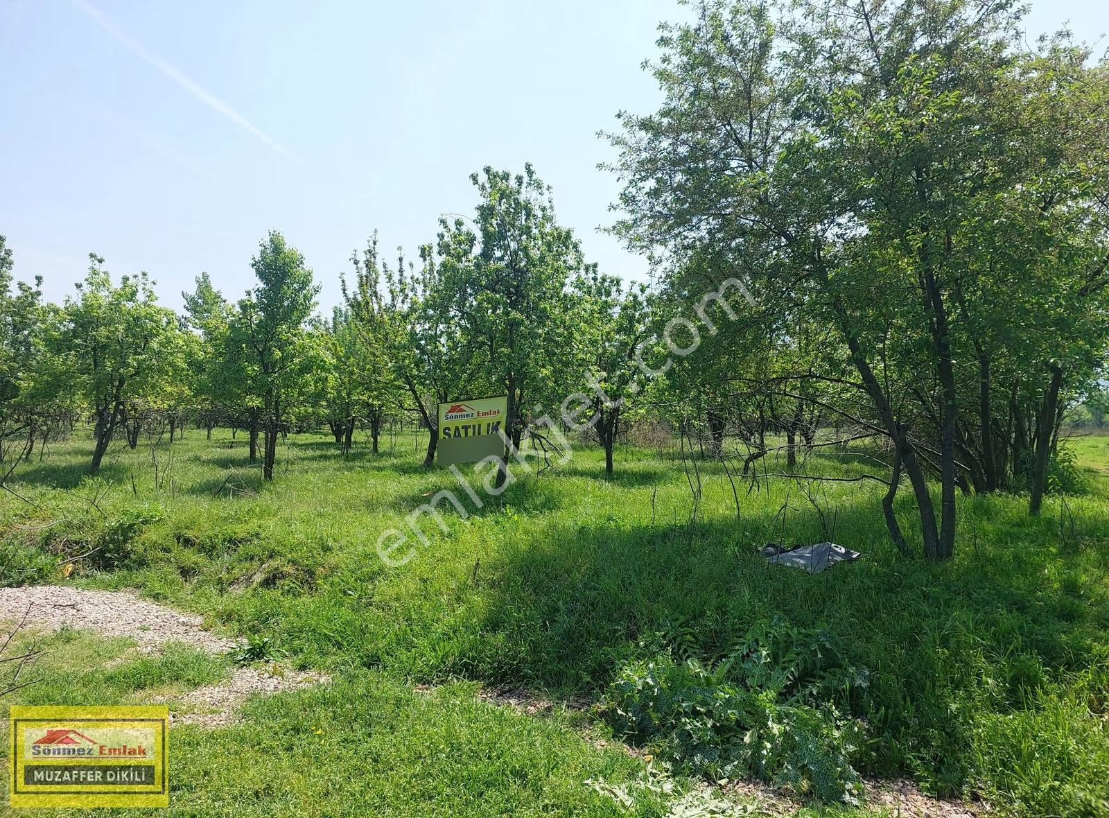 Bursa Yıldırım Vakıf'ta Satılık 4360m² İki Bitişik Parsel Bahçe - Görsel 17
