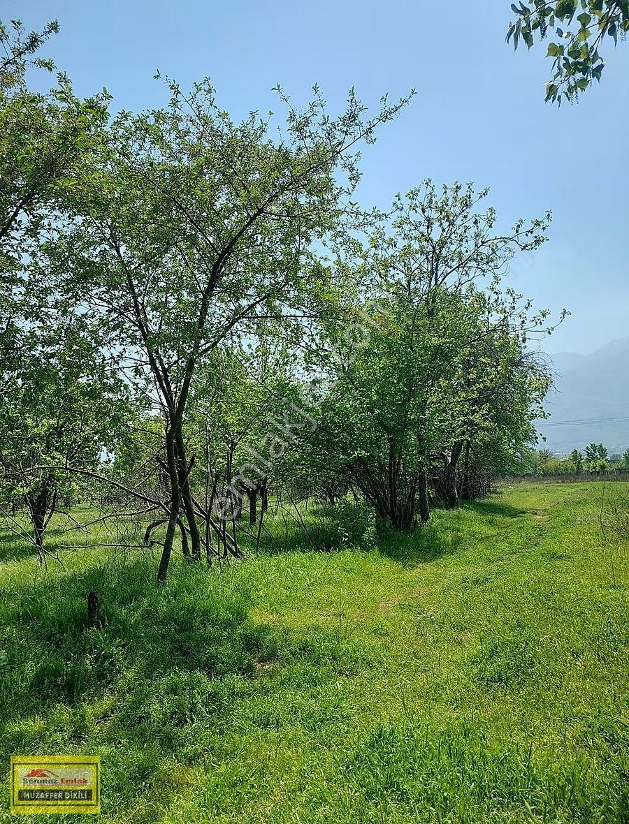 Bursa Yıldırım Vakıf'ta Satılık 4360m² İki Bitişik Parsel Bahçe - Görsel 24