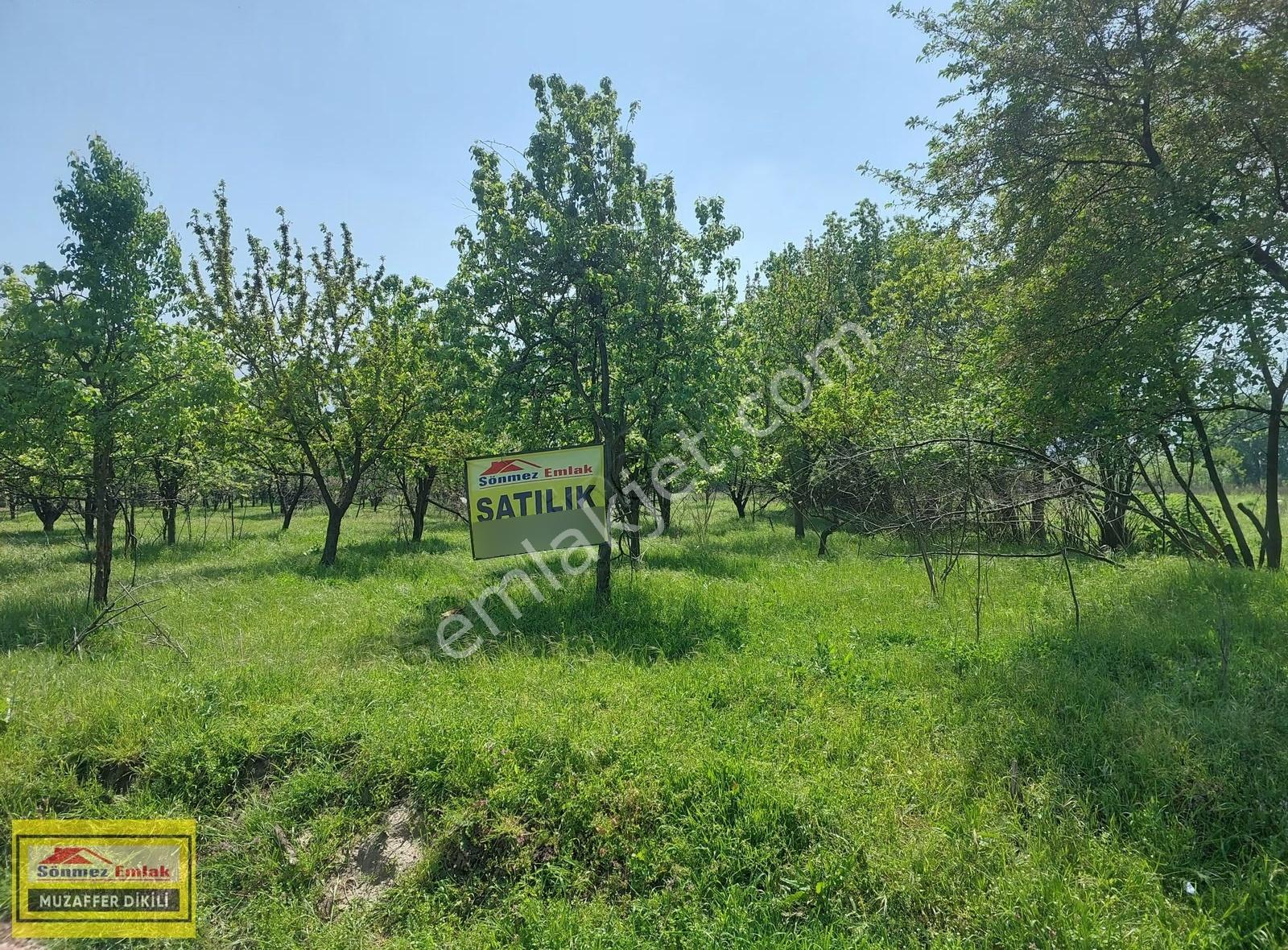 Bursa Yıldırım Vakıf'ta Satılık 4360m² İki Bitişik Parsel Bahçe - Görsel 23