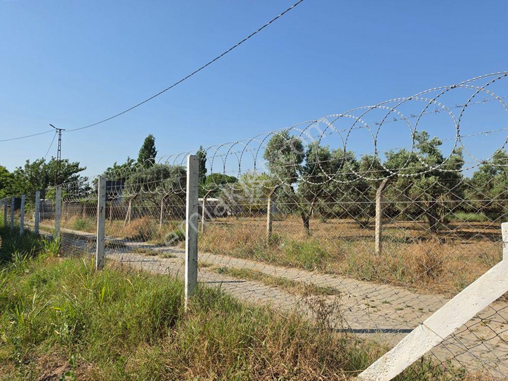 Hb'den Satılık Bahçe, Köşe Konumda Müstakil Tapulu Etrafı Çevrili - Görsel 16