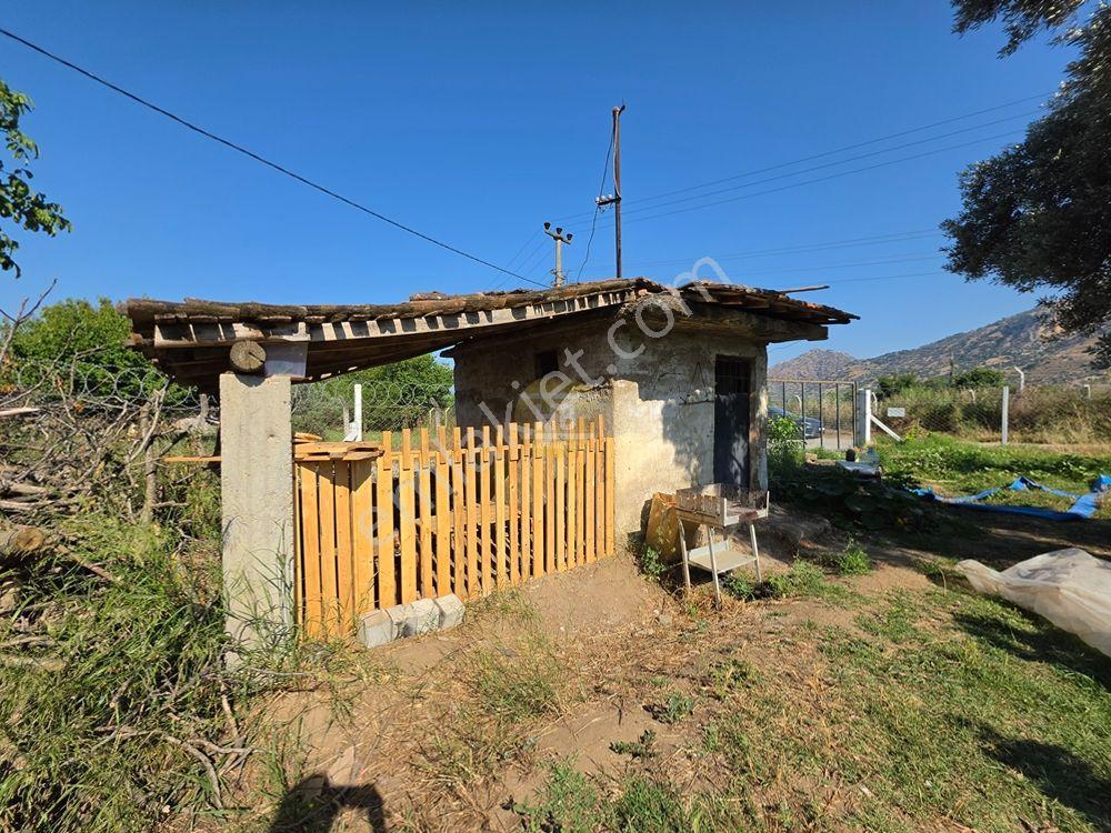 Hb'den Satılık Bahçe, Köşe Konumda Müstakil Tapulu Etrafı Çevrili - Görsel 18