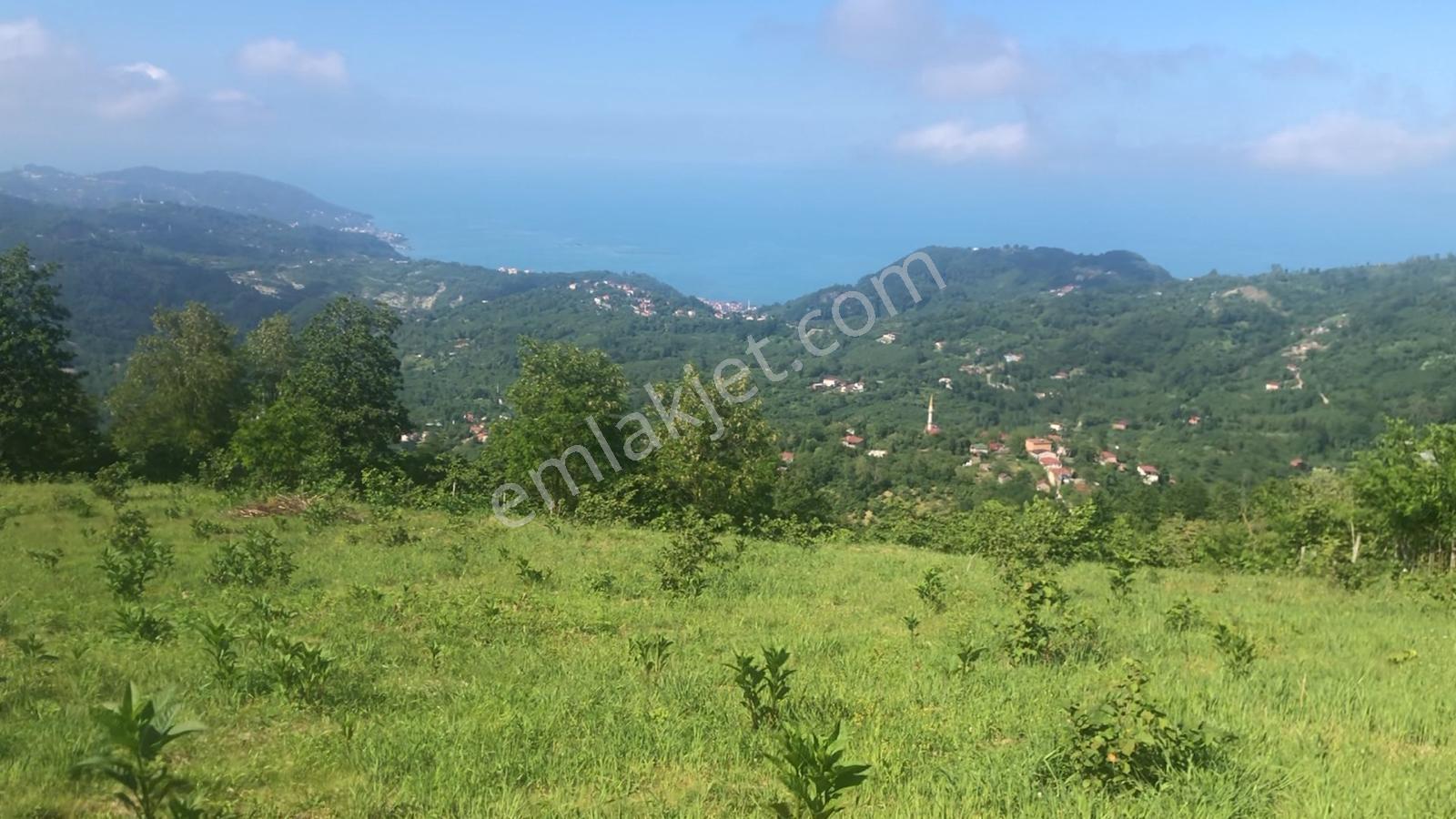 Deniz Ve Doğa Manzaralı | Tıny House İçin Uygun 4.069 M² Bahçe - Görsel 2
