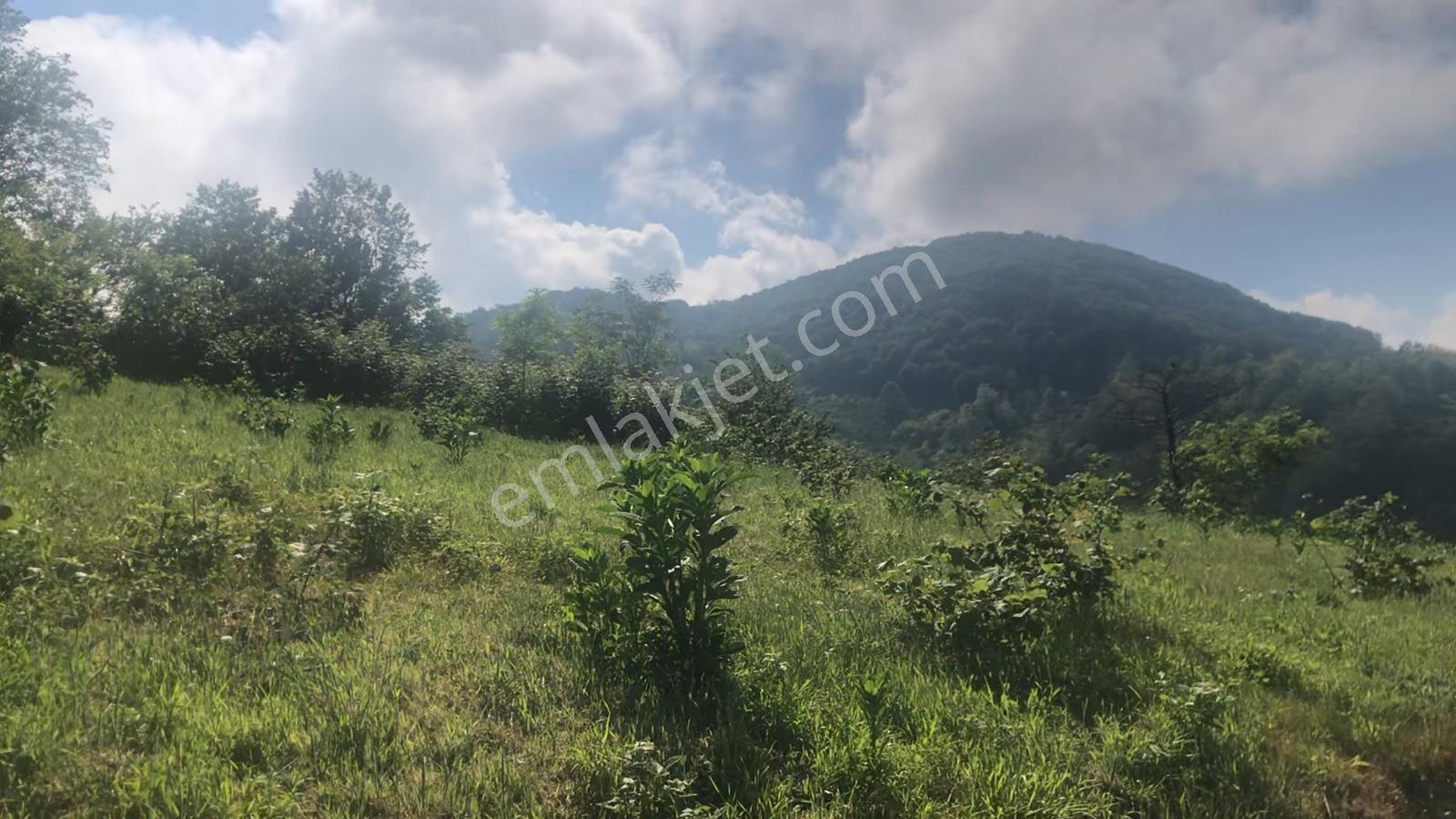 Deniz Ve Doğa Manzaralı | Tıny House İçin Uygun 4.069 M² Bahçe - Görsel 5