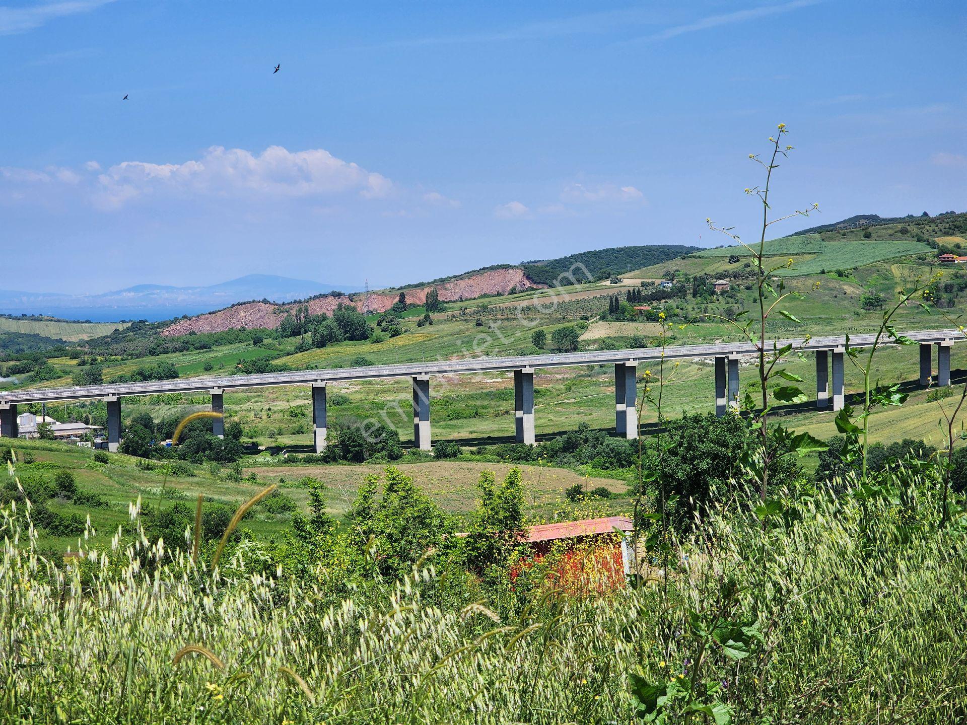 Yalova Kılıc Satılık Arazı - Görsel 18