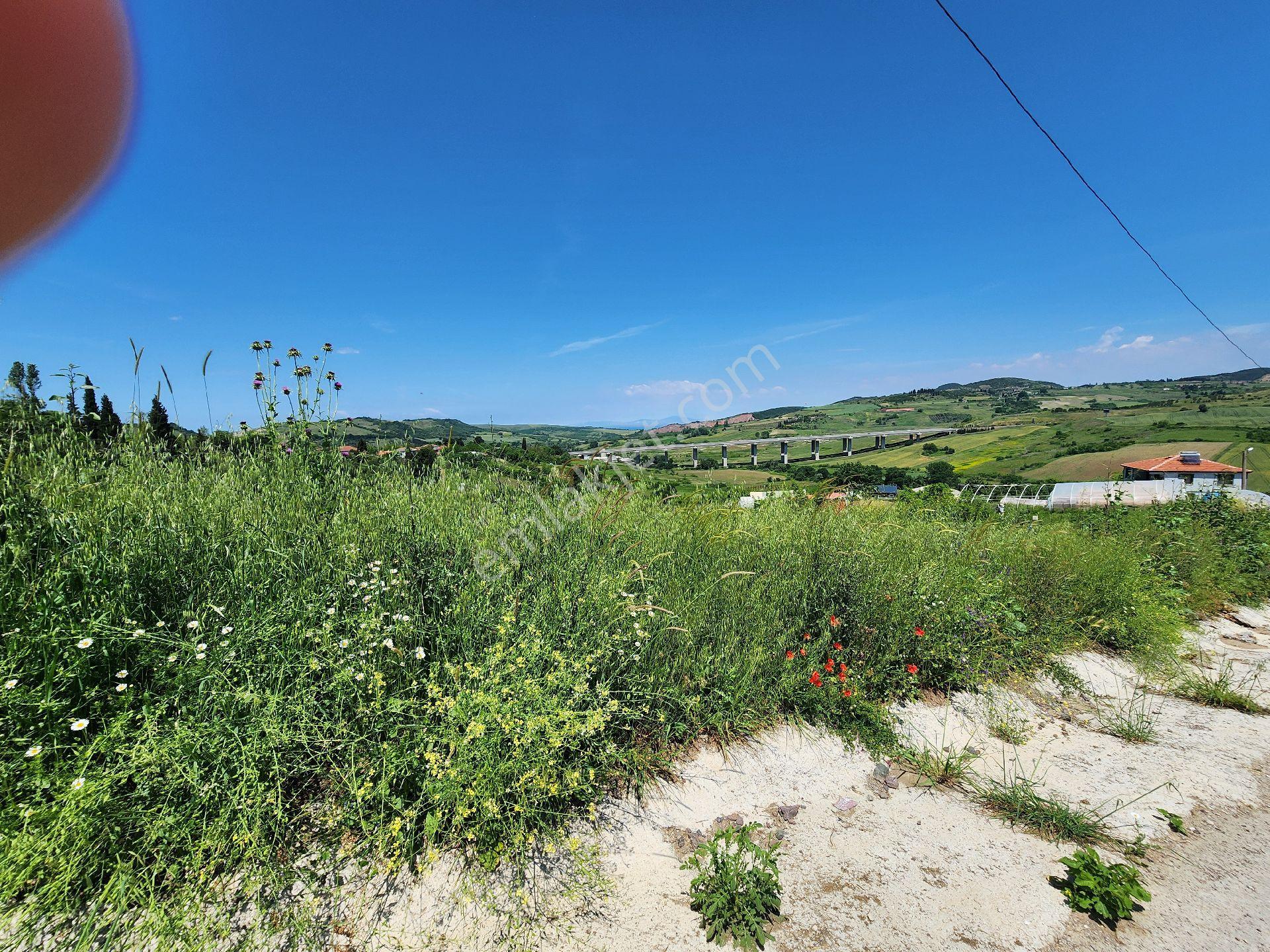 Yalova Kılıc Satılık Arazı - Görsel 10