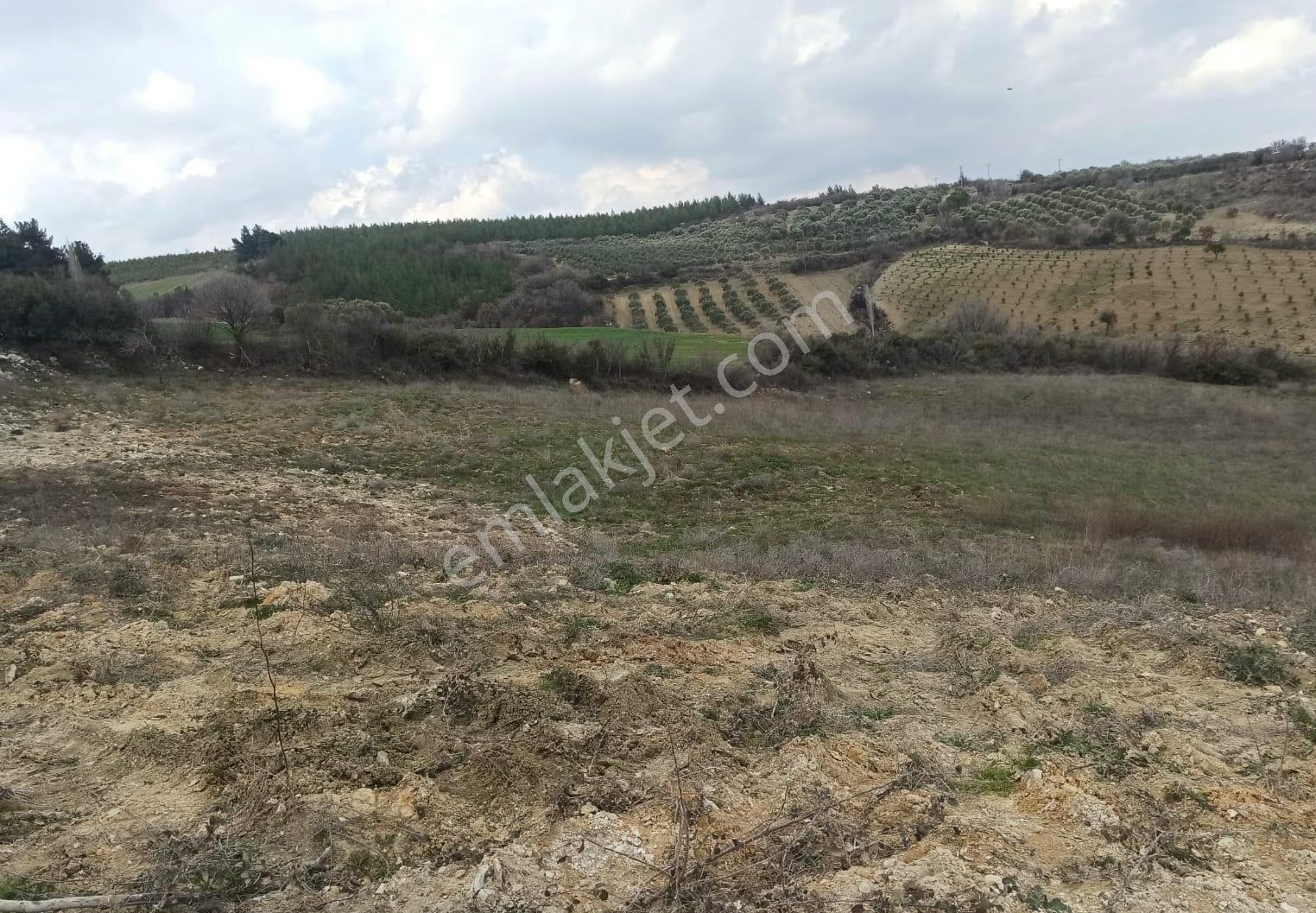 Dream Lıfe'dan Gelişime Açık Bölgede Yatırımlık Arazi - Görsel 2