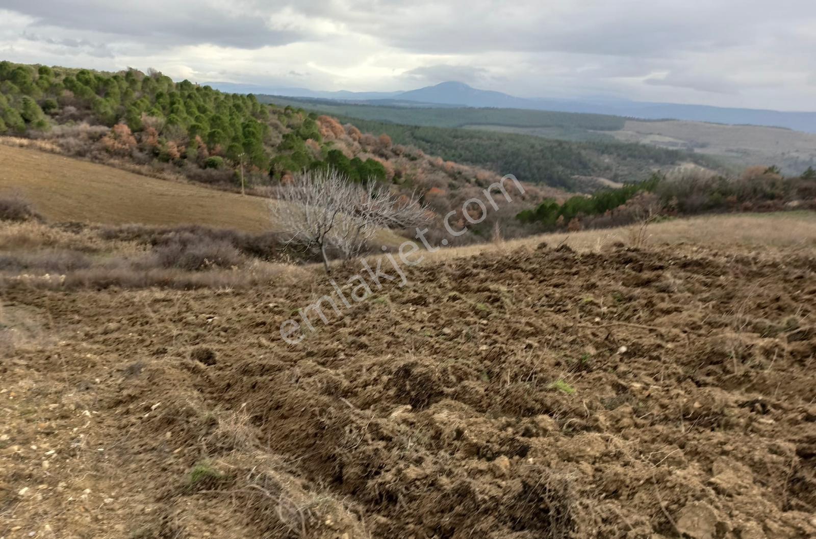 Dream Lıfe'dan Gelişime Açık Bölgede Yatırımlık Arazi