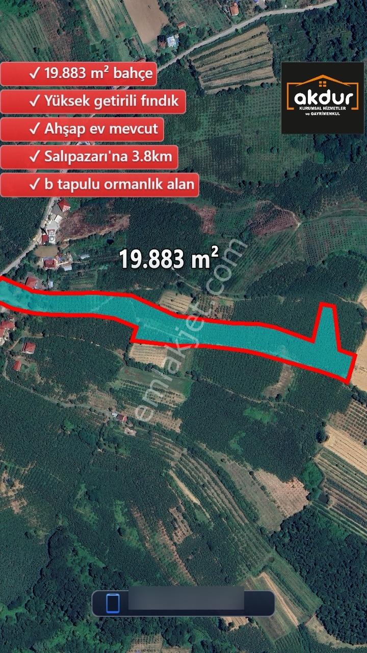 Akdur'dan Salıpazarı Kocalar'da 19'883 M² Tarla - Görsel 2