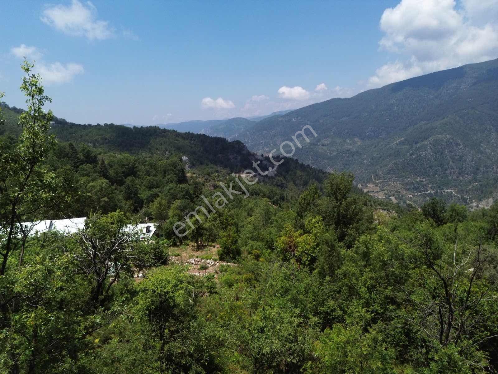 Emlakparktan Deretürbelinas Köyü Çonlu Mvk. Yola Sıfır 1528m2 - Görsel 7