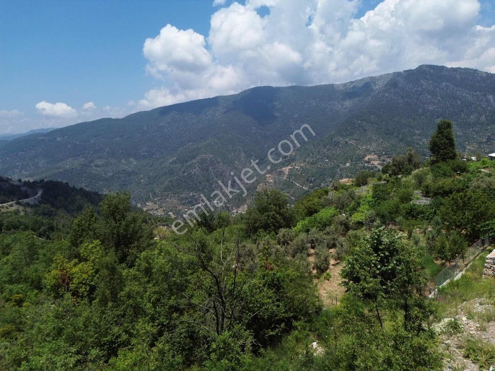 Emlakparktan Deretürbelinas Köyü Çonlu Mvk. Yola Sıfır 1528m2 - Görsel 9