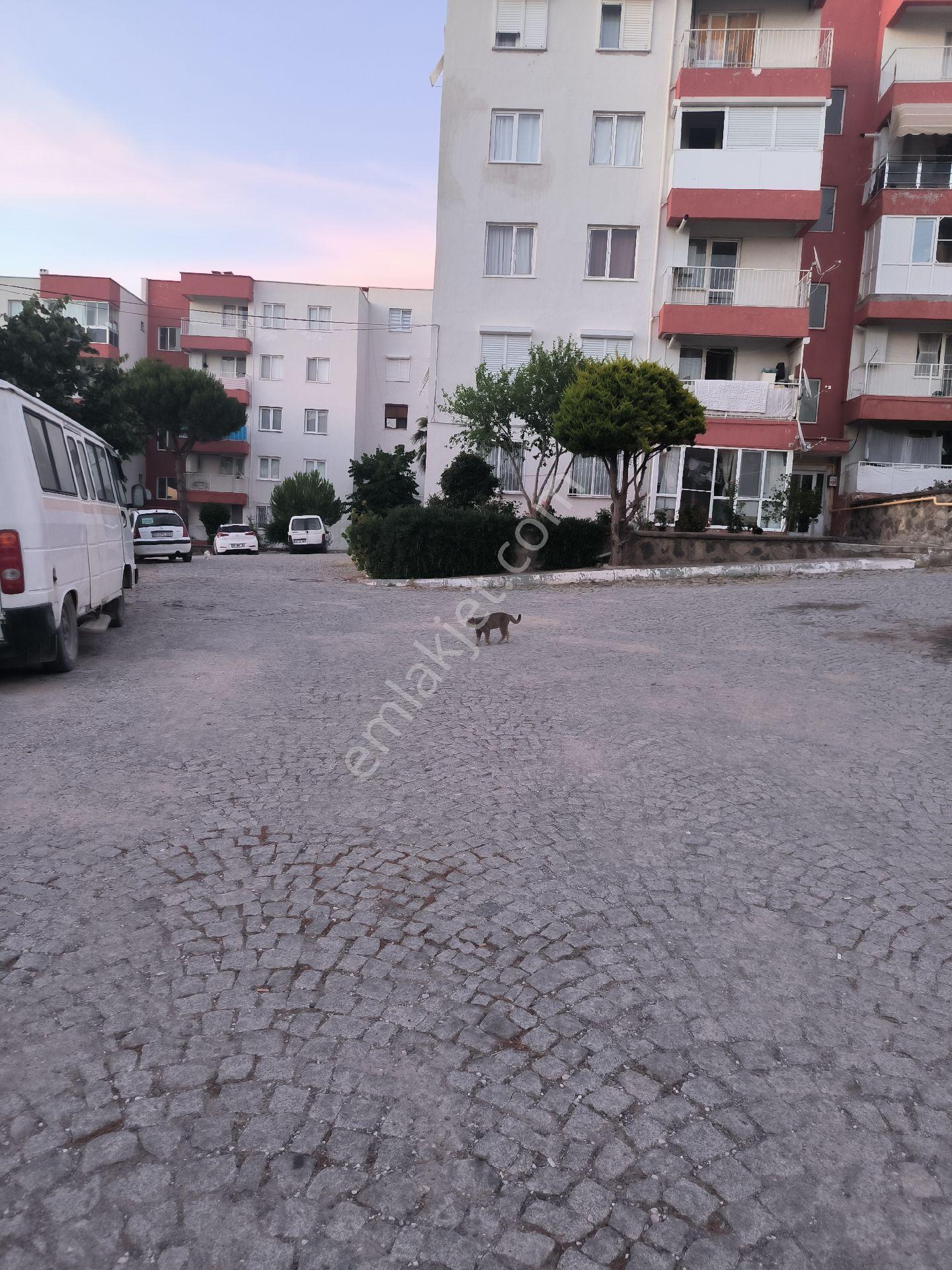 Ays Den Barışkentte Satılık Daire - Görsel 21