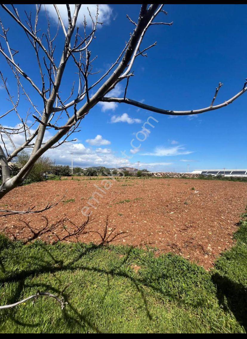 Erdemli Karahmetli 5040 M2 Bölmeye Uygun Arsa - Görsel 7