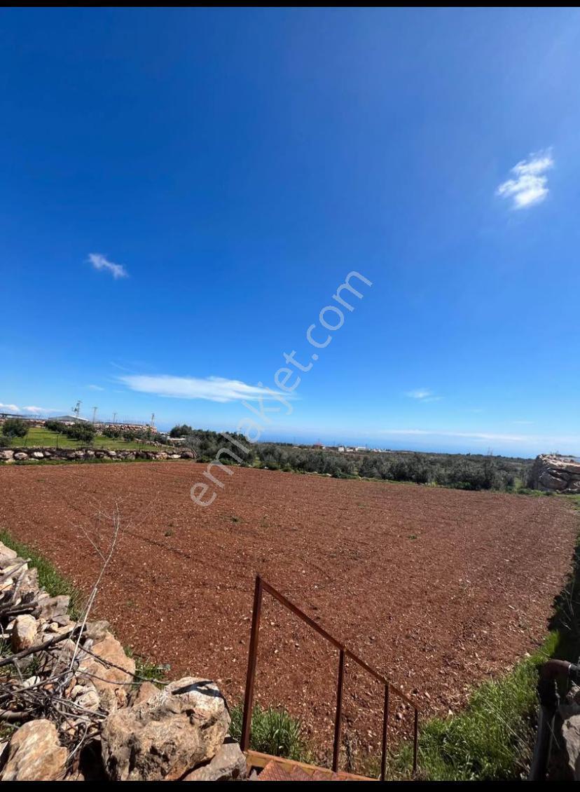 Erdemli Karahmetli 5040 M2 Bölmeye Uygun Arsa