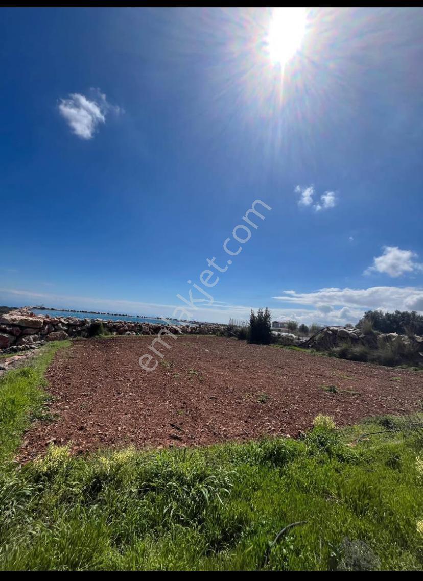 Erdemli Karahmetli 5040 M2 Bölmeye Uygun Arsa - Görsel 4
