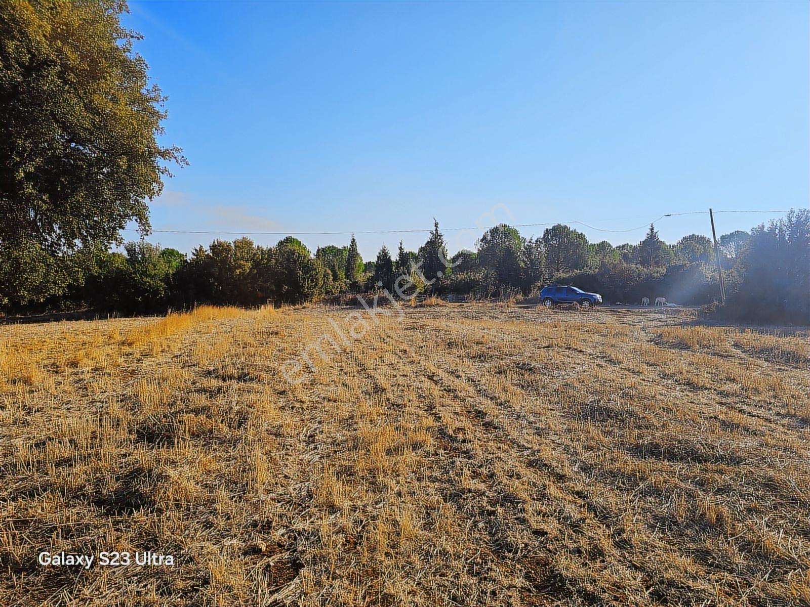 Çanakkale,ezine,kızılköy Köyünde Satılık Hobi Bahçesi - Görsel 20