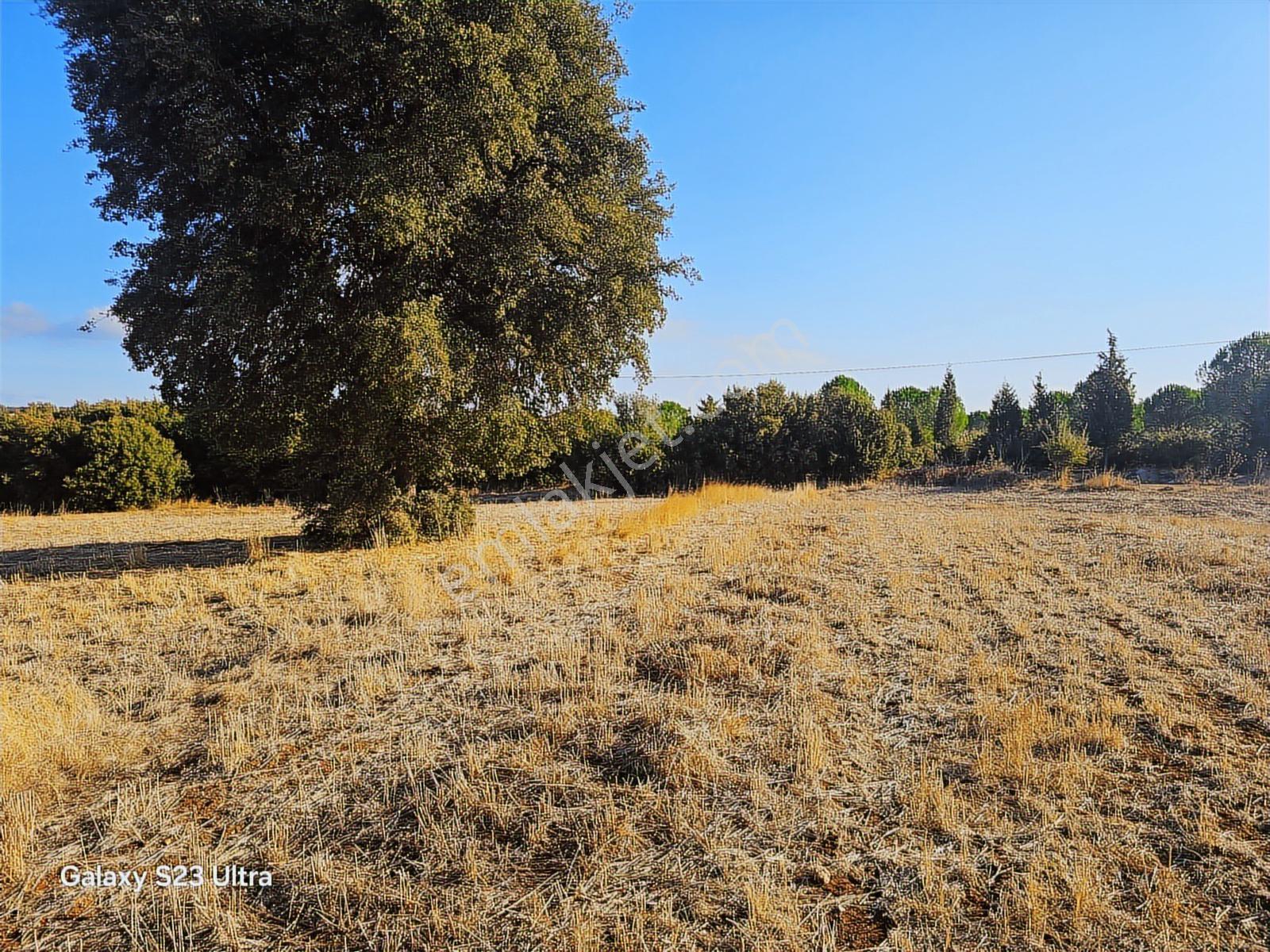 Çanakkale,ezine,kızılköy Köyünde Satılık Hobi Bahçesi