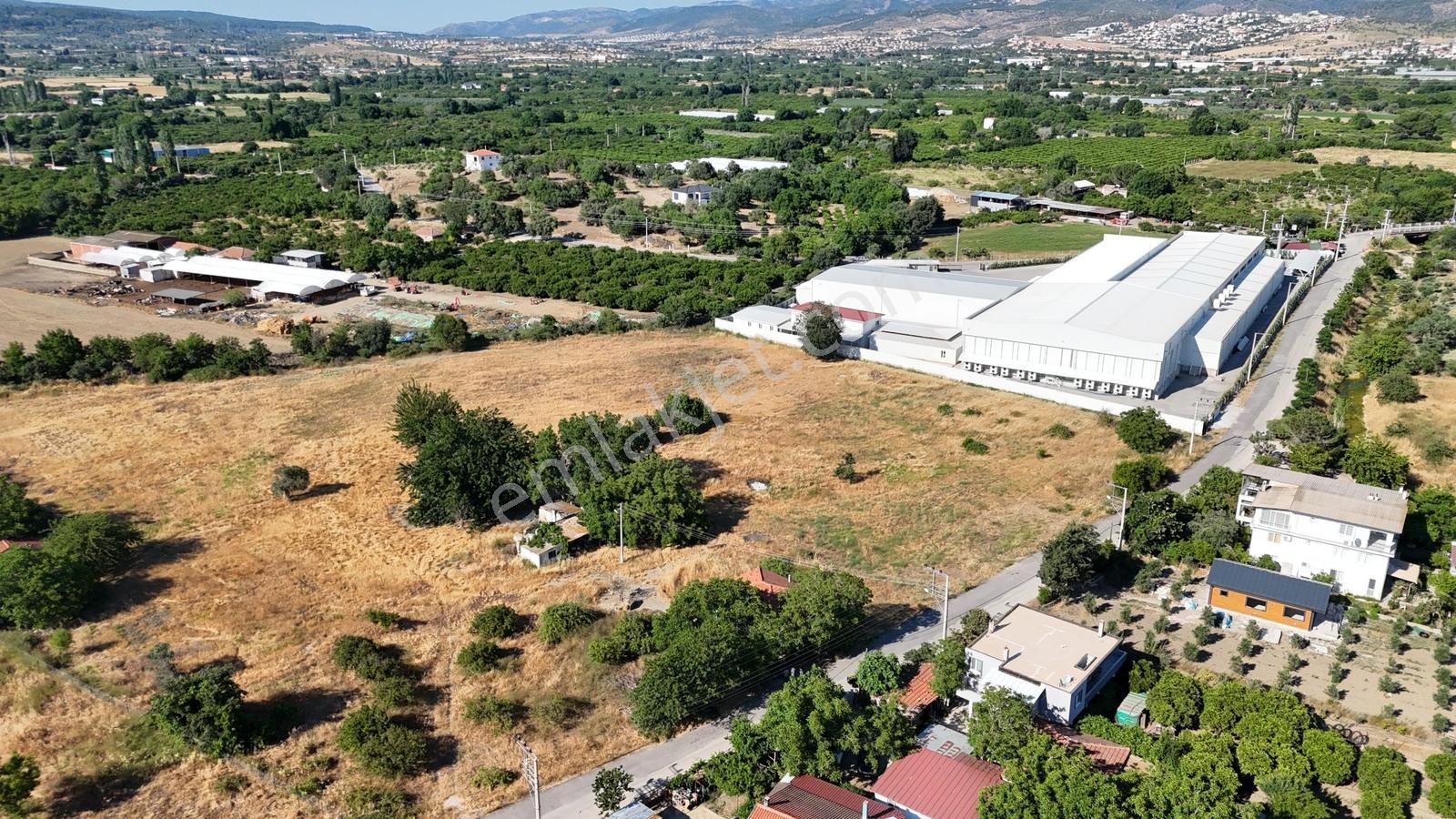 Düzce'de 16.5 Dönüm Asfalta Cephe 3 Numaratajlı Arazi - Görsel 11