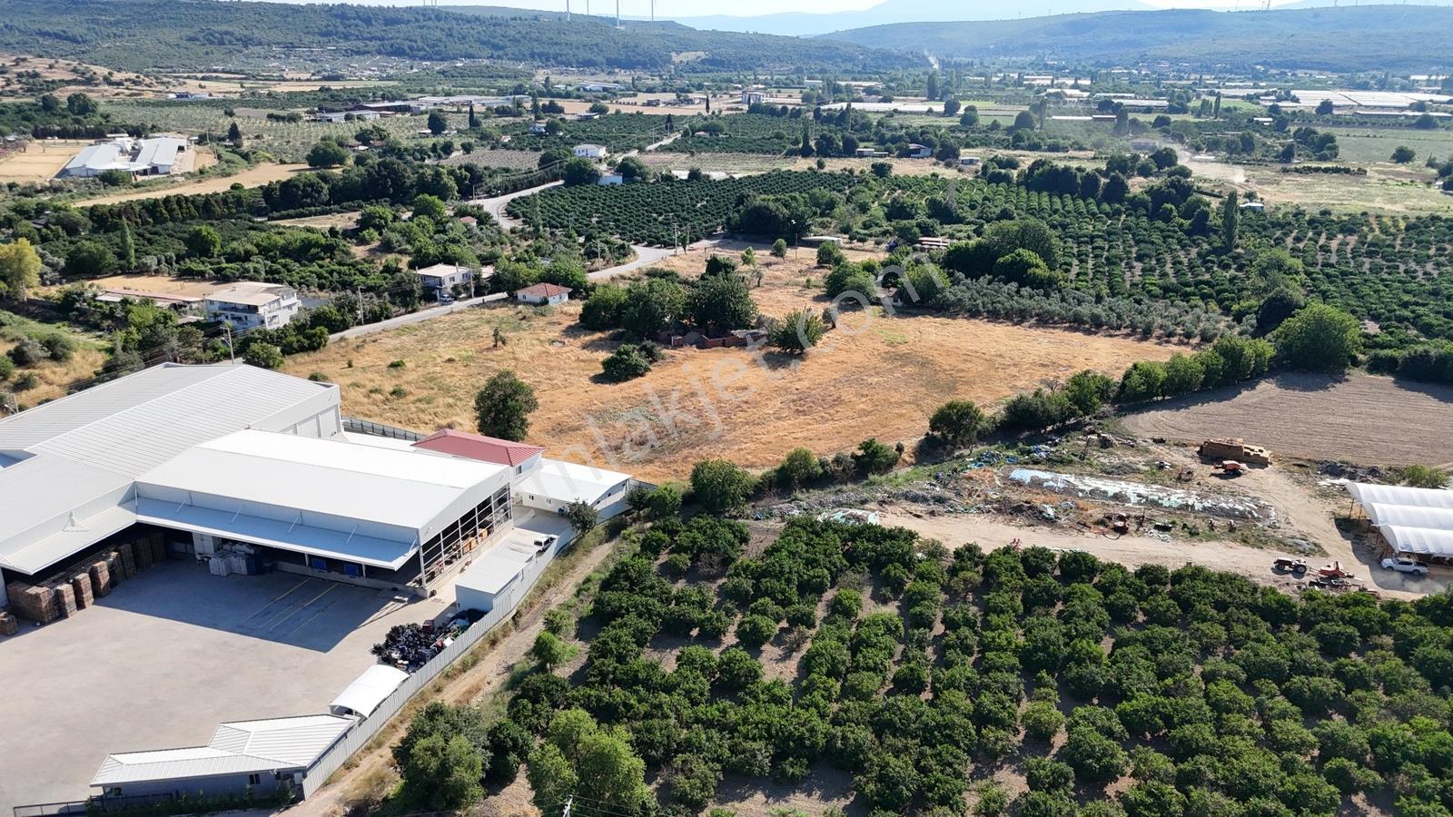 Düzce'de 16.5 Dönüm Asfalta Cephe 3 Numaratajlı Arazi - Görsel 10