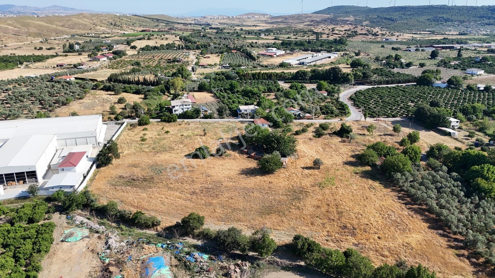 Düzce'de 16.5 Dönüm Asfalta Cephe 3 Numaratajlı Arazi - Görsel 3