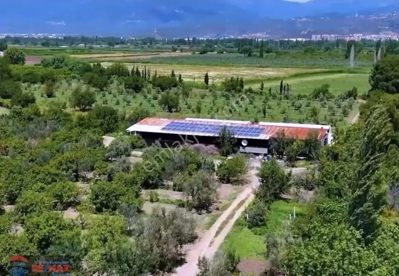 Re/max İnci'den Edremit Çıkrıkçı Mah. Üretim Kapasiteli Tam Donanımlı Satılık Çiftlik - Görsel 32